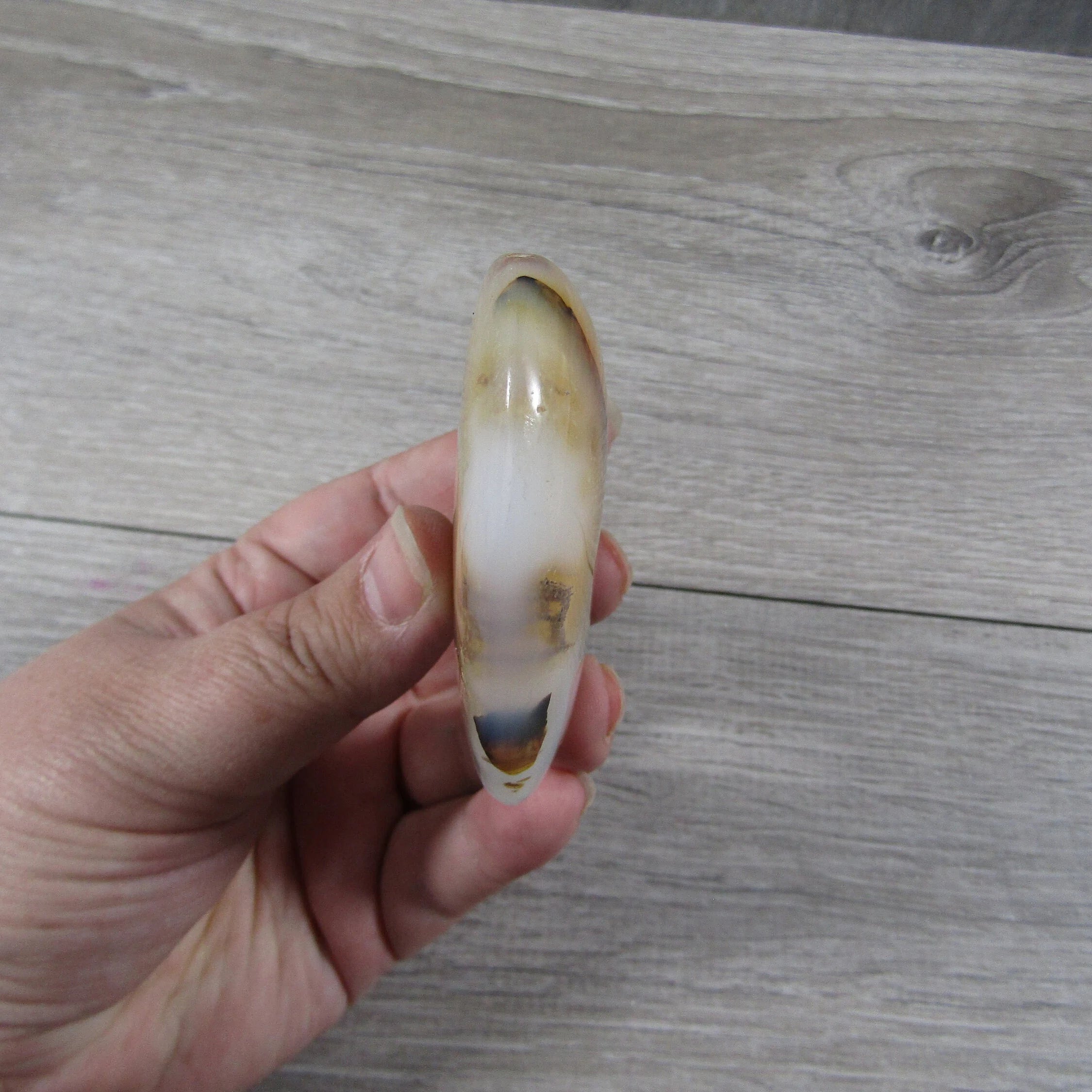 Large Dendritic Agate Opal Heart for Display – Wholesale