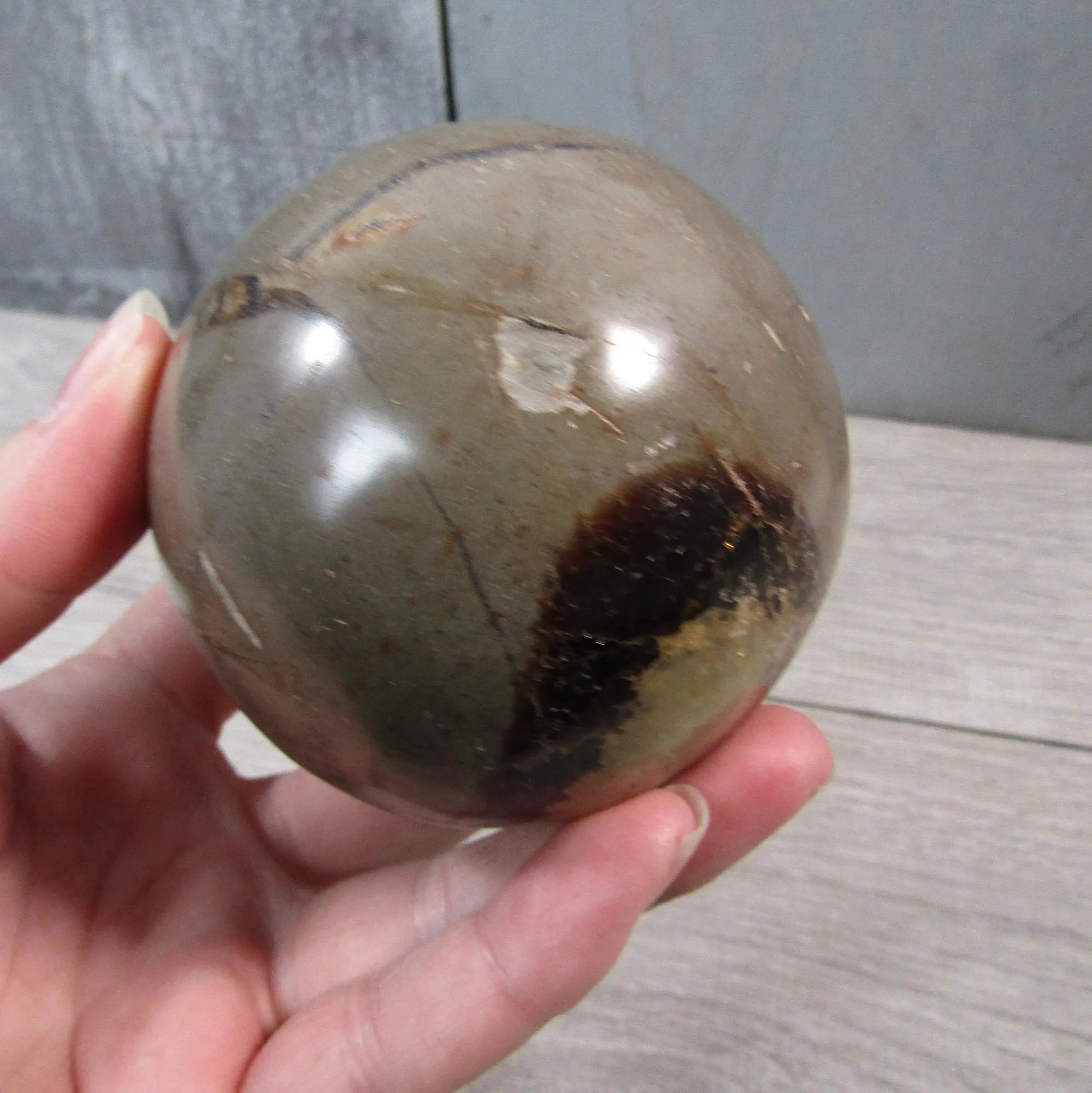 Large Septarian Nodule Sphere with Calcite and Barite