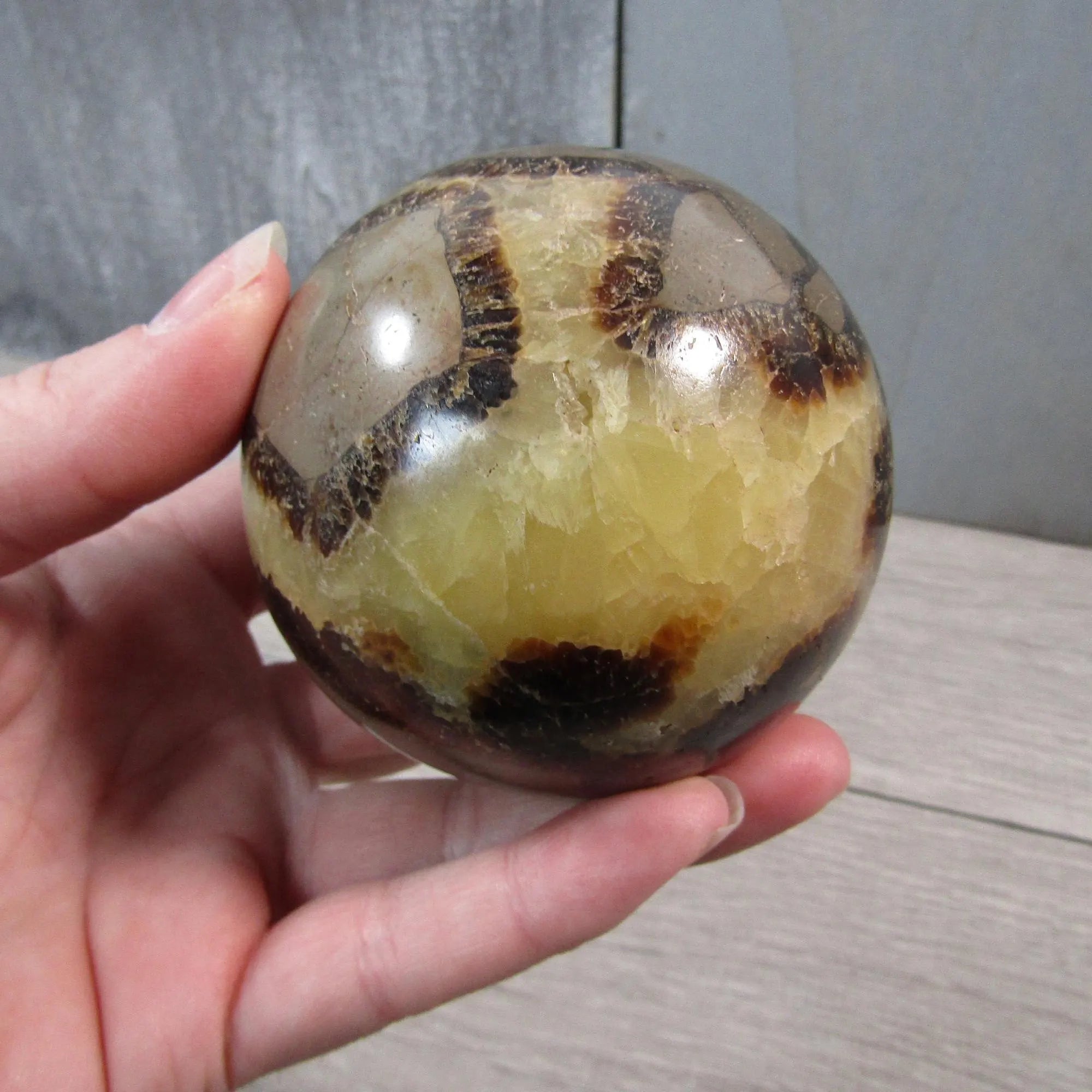 Large Septarian Nodule Sphere with Calcite and Barite