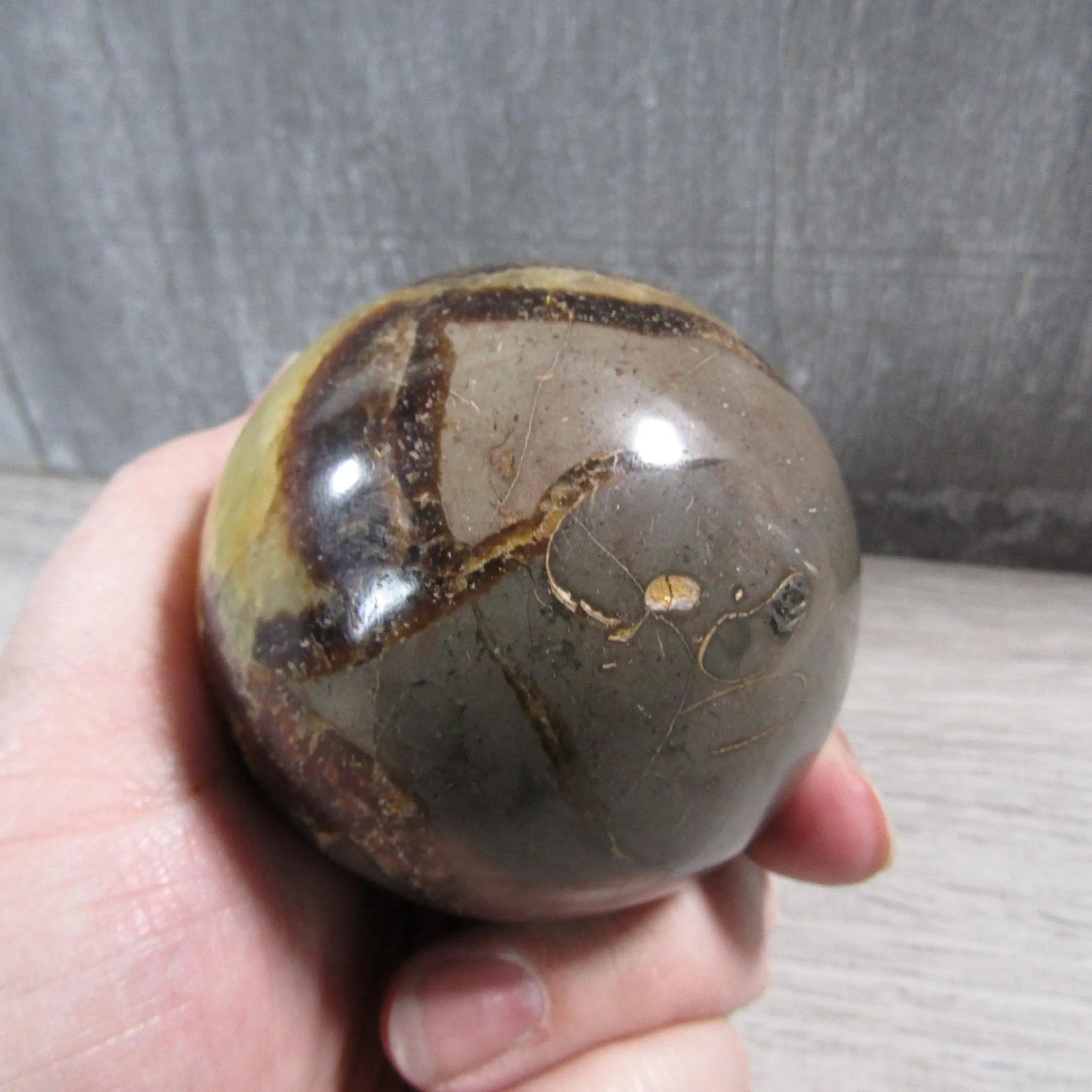 Large Septarian Nodule Sphere with Calcite and Barite