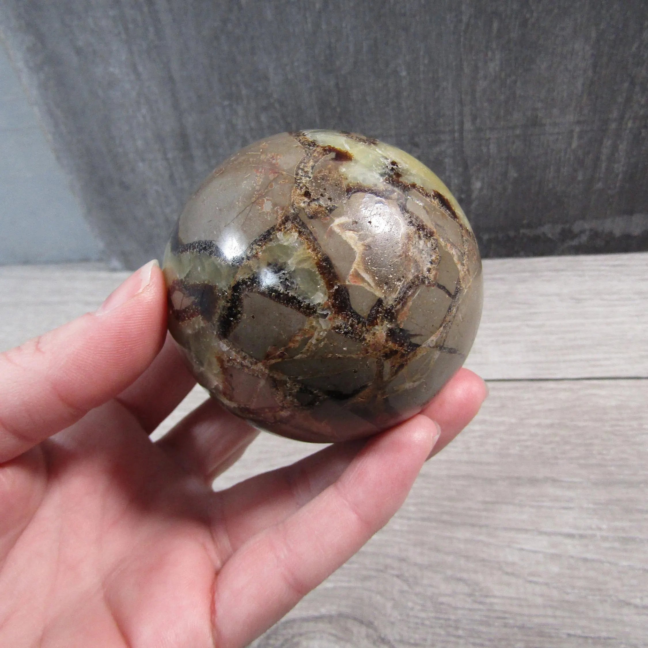 Display-size Septarian sphere for crystal retailers