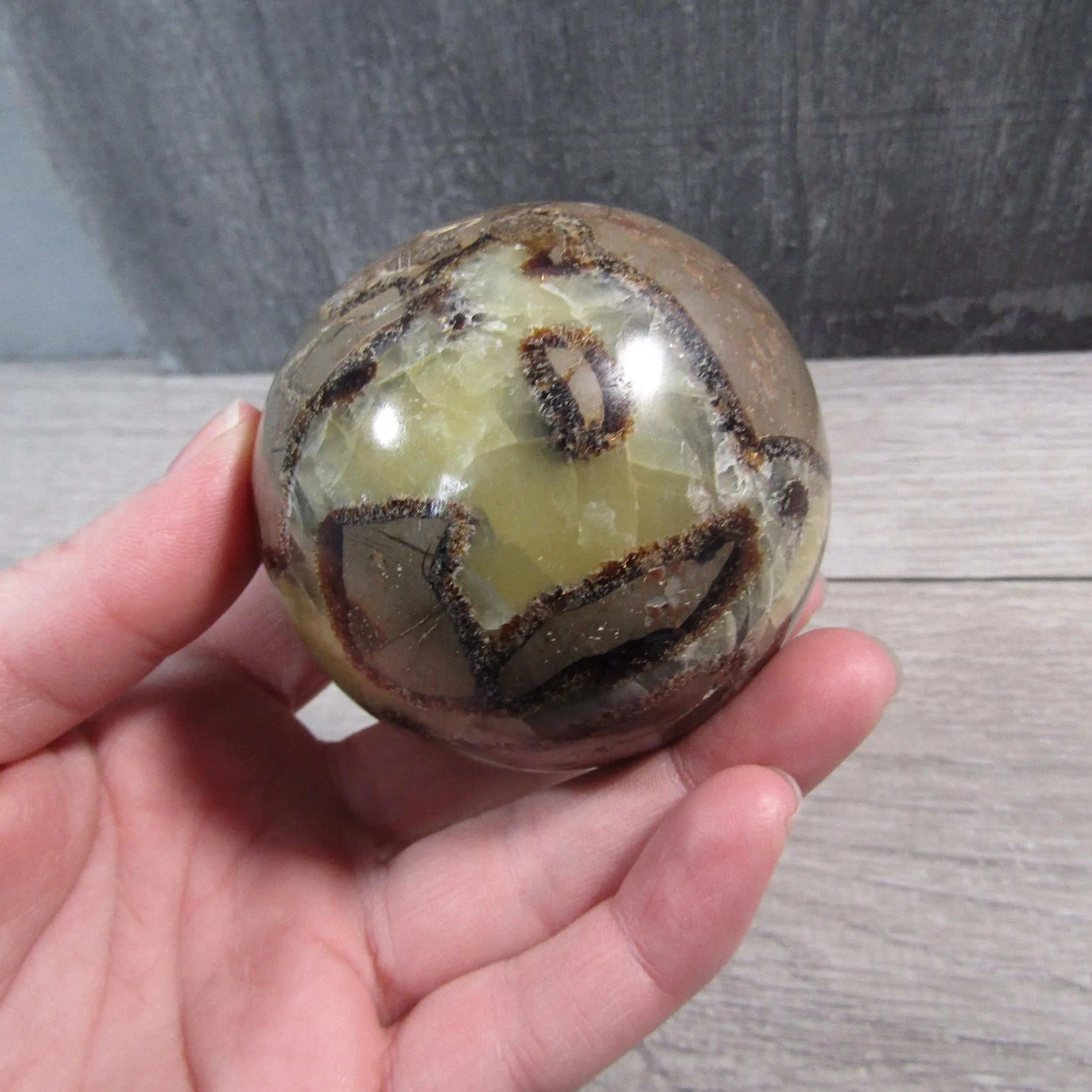 Earth-toned Septarian sphere for gift stores