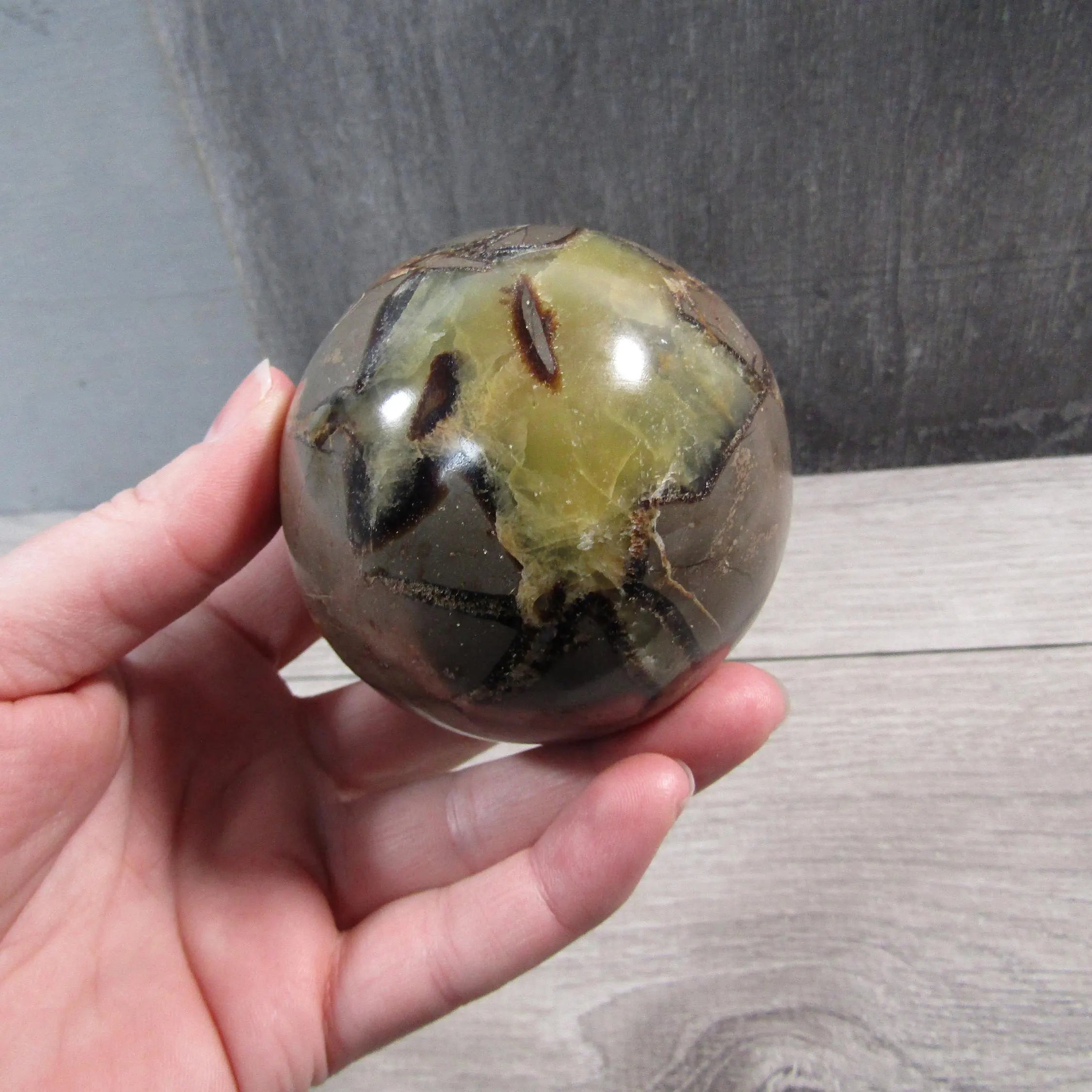 Large Septarian Nodule Sphere with Calcite and Barite