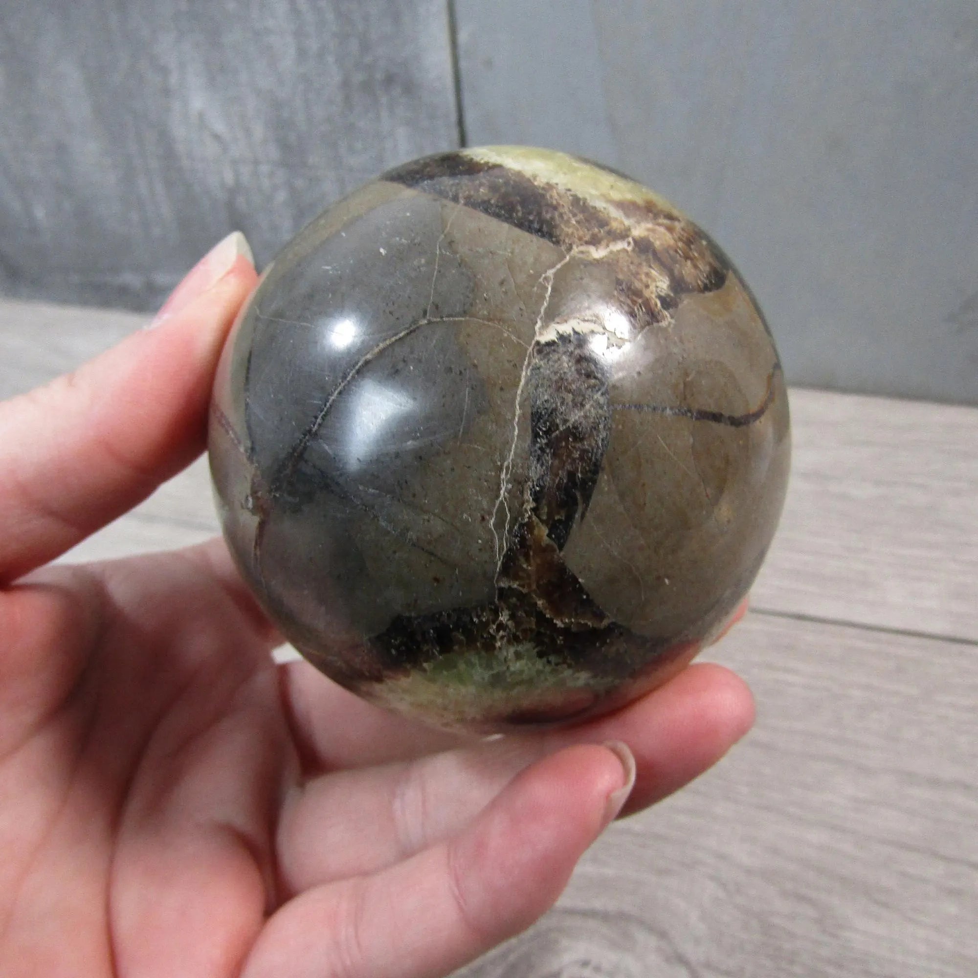 Large Septarian Nodule Sphere with Calcite and Barite