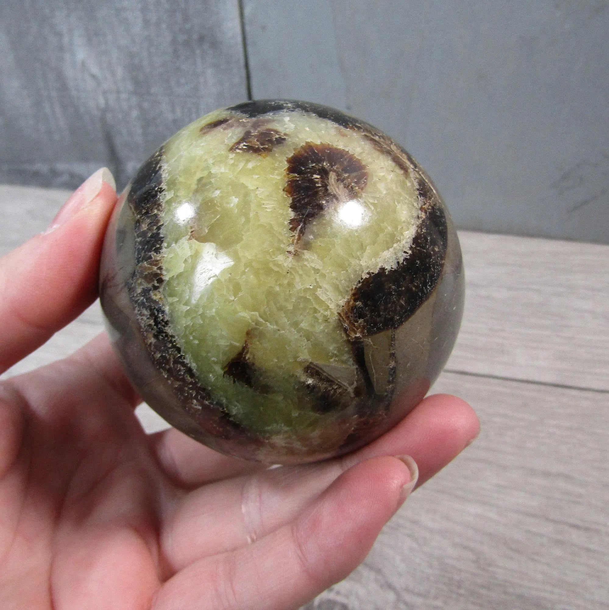 Large Septarian Nodule Sphere with Calcite and Barite
