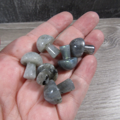 labradorite mushrooms for metaphysical retailers