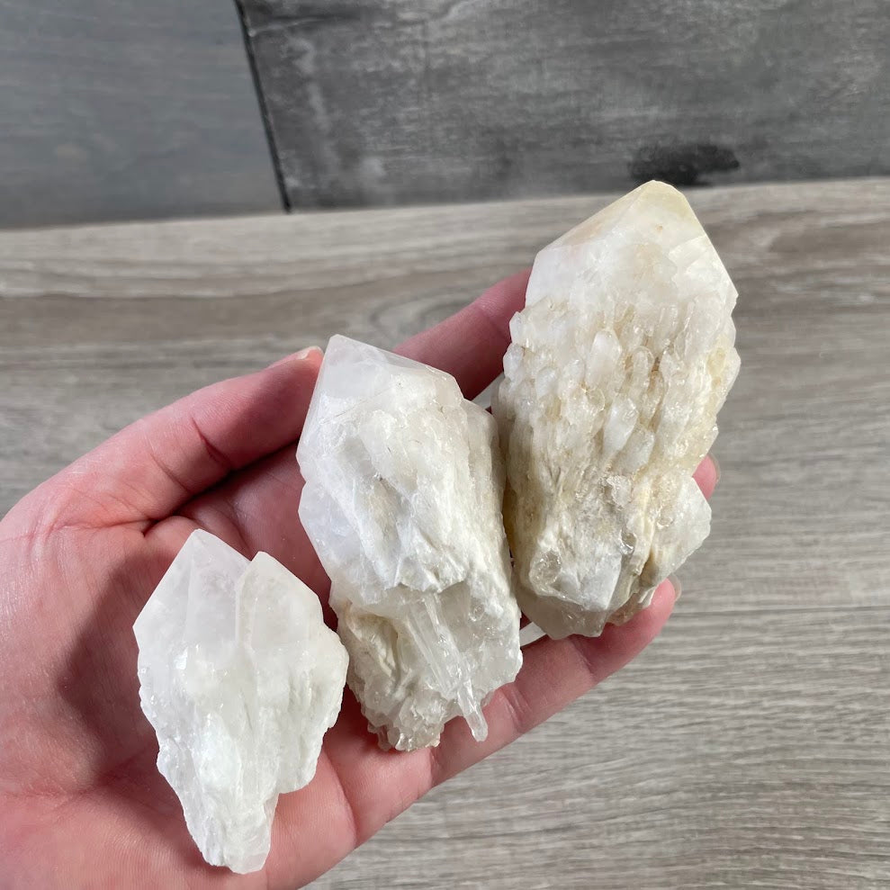 Milky white Pineapple Quartz wholesale crystal shop inventory