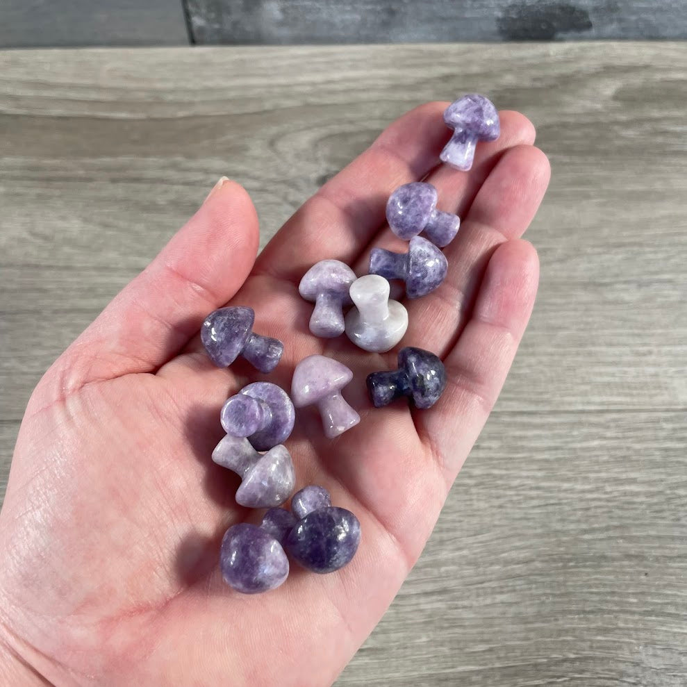 Lepidolite small polished stone mushroom for crystal collectors and gift buyers