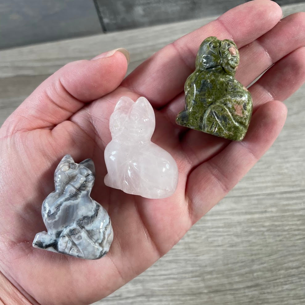 Polished gemstone cat carvings in assorted natural stones for crystal retailers.