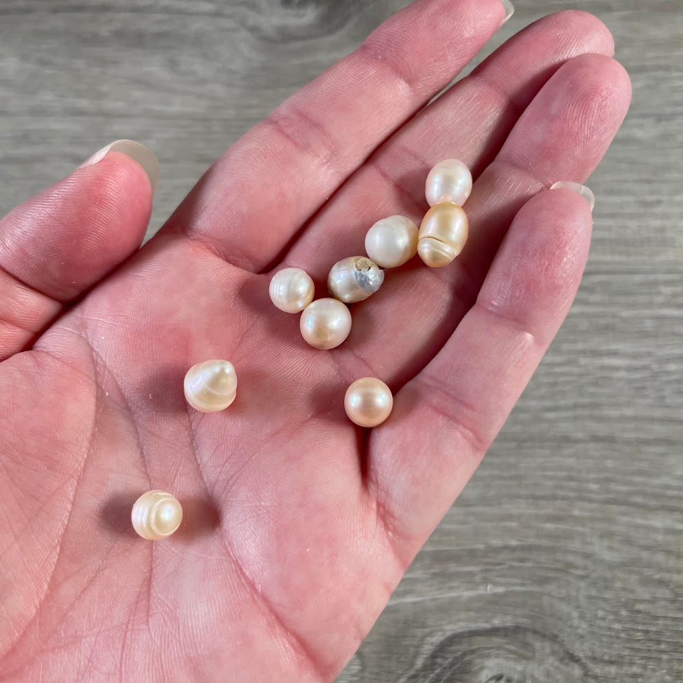 Raw pearl trio for craft projects, pendants, earrings, and crystal shops