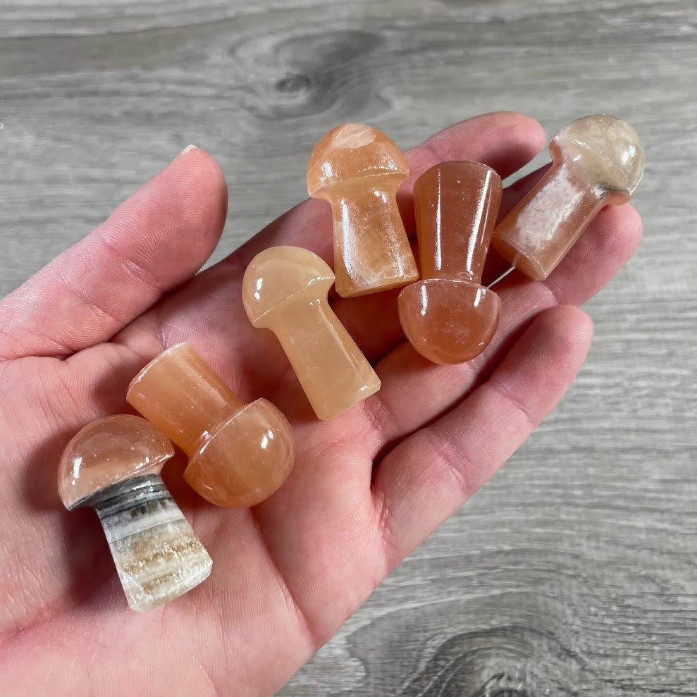 calcite medium gemstone mushroom figurine for wholesale crystal shops