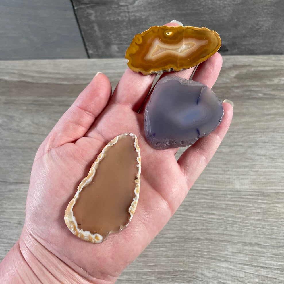 Colorful agate slabs with unique banding for crystal shops