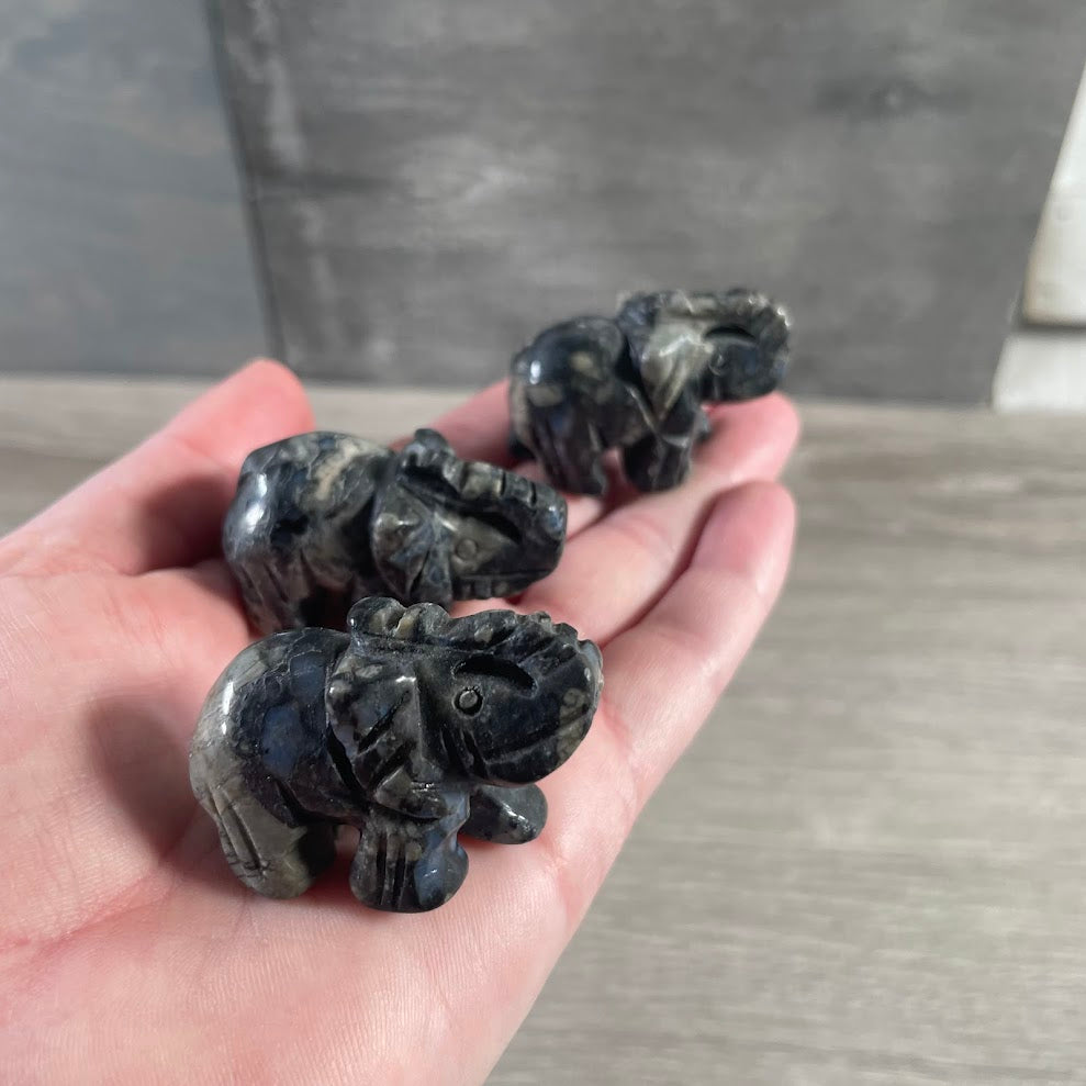 Que sera sera decorative elephant animal figurine carved from gemstone for wholesale crystal collections