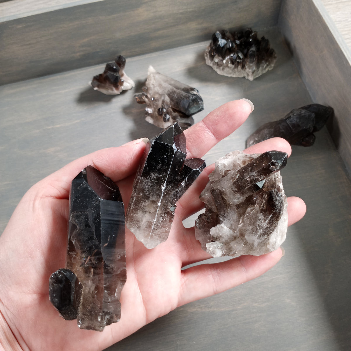Wholesale smoky quartz clusters for rock and crystal shops