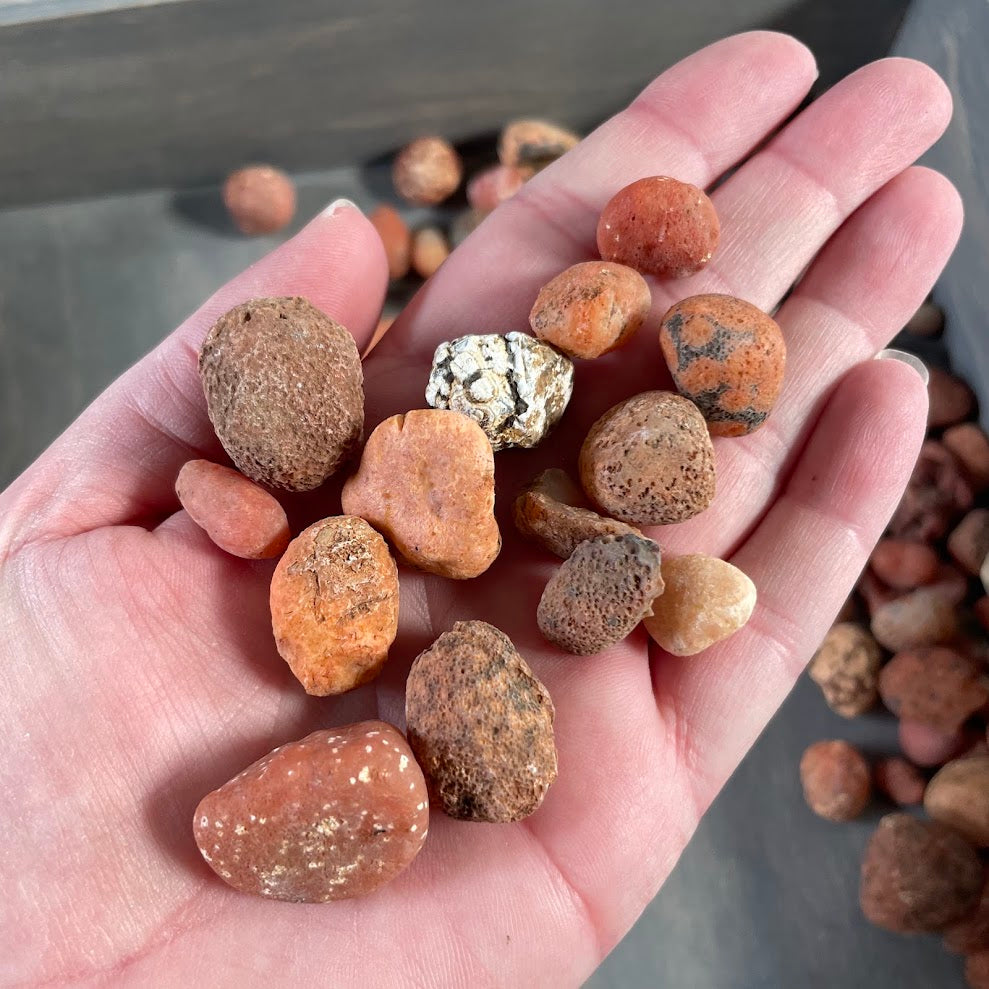 Wholesle 1 lb rough carnelian chunks for crystal shops
