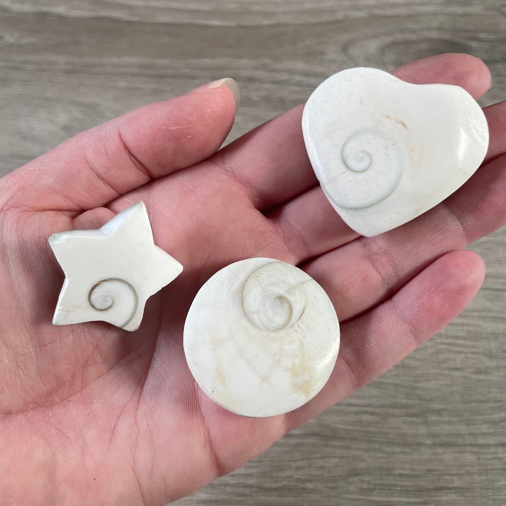 Shiva Eye Shell hearts stars and rounds for wholesale metaphysical decor
