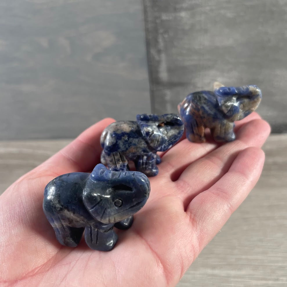 Polished sodalite crystal elephant figurine for wholesale gift stores and gemstone displays