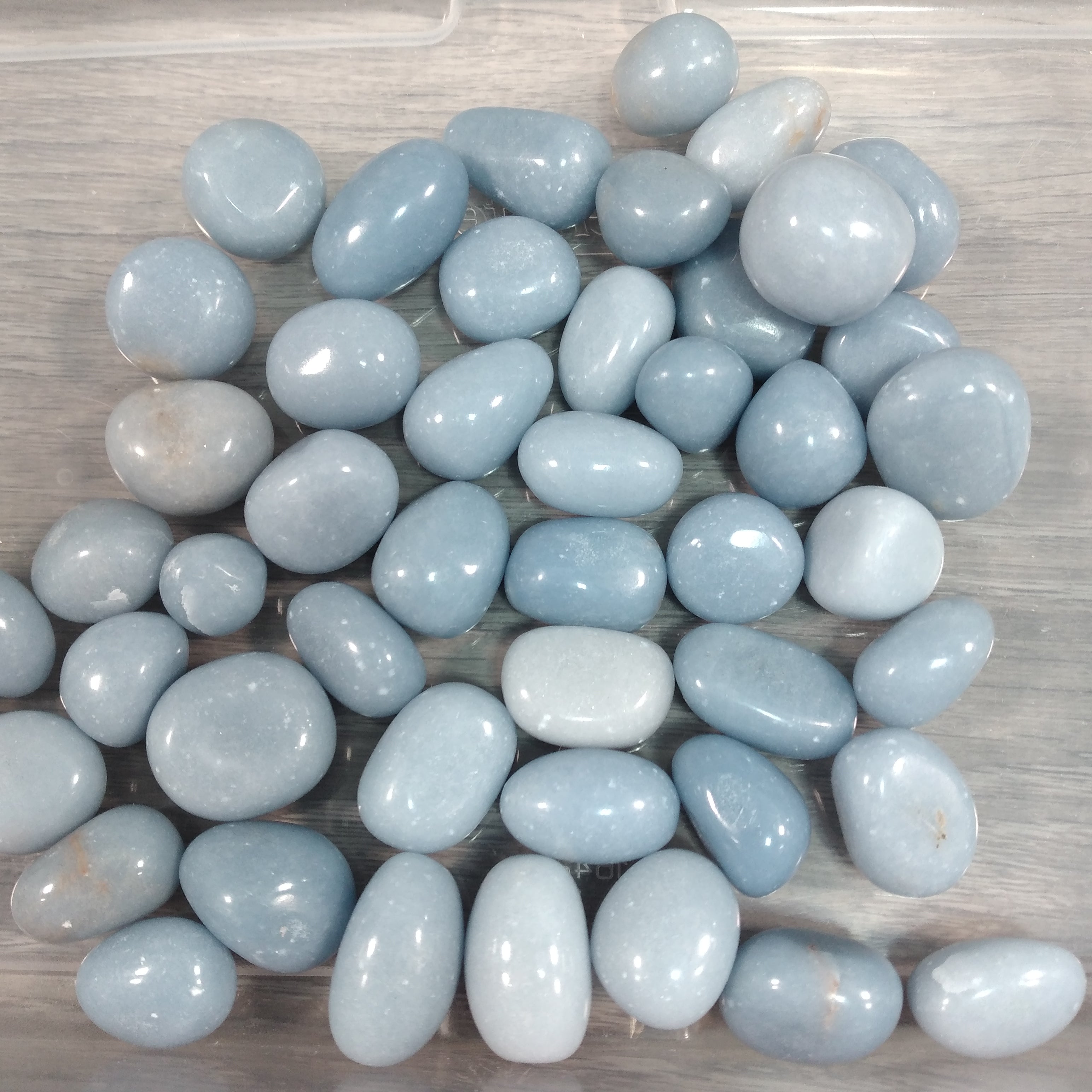 Tumbled Angelite stones in bulk 1 lb lot