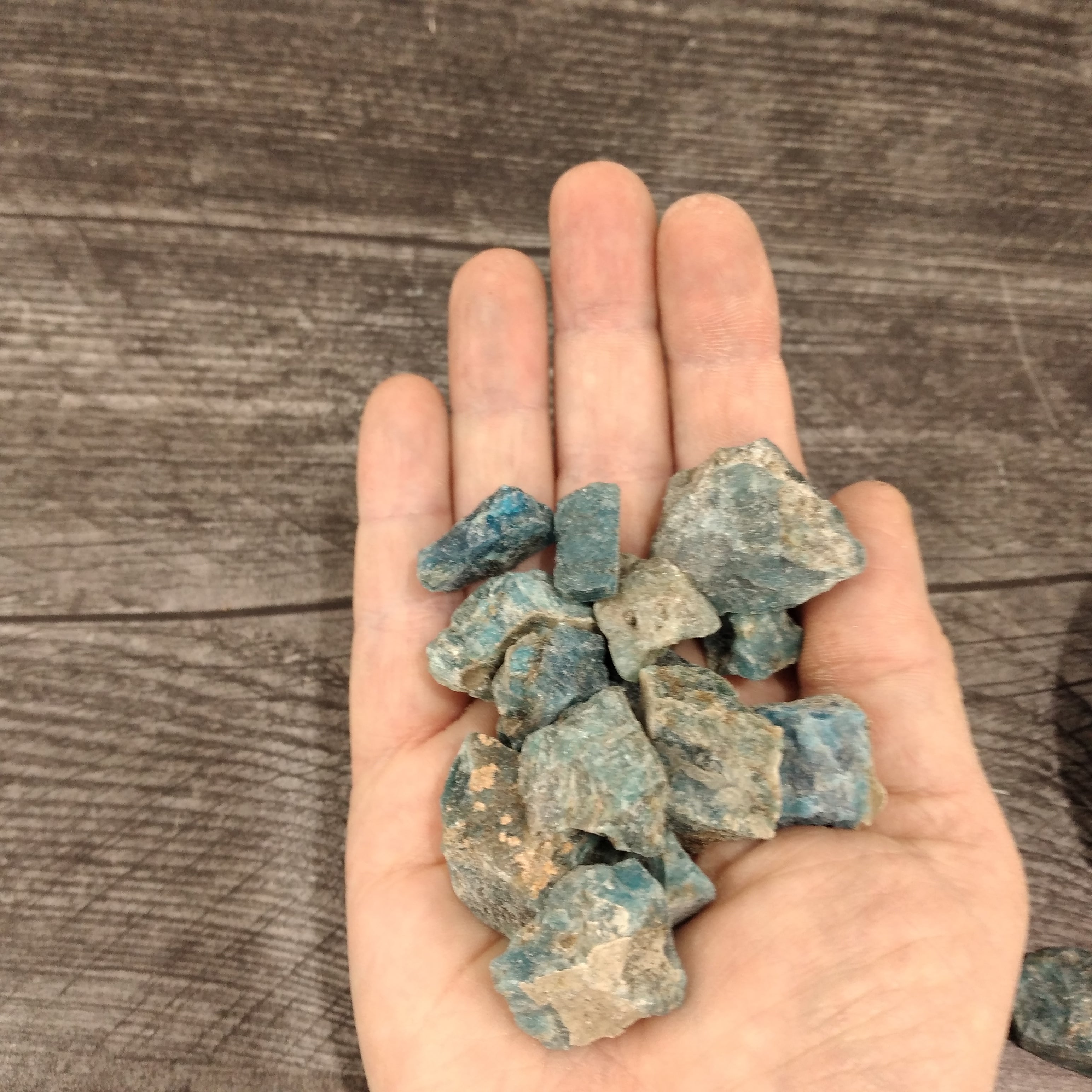 Natural rough Blue Apatite stones in a 1-pound lot for metaphysical shops.