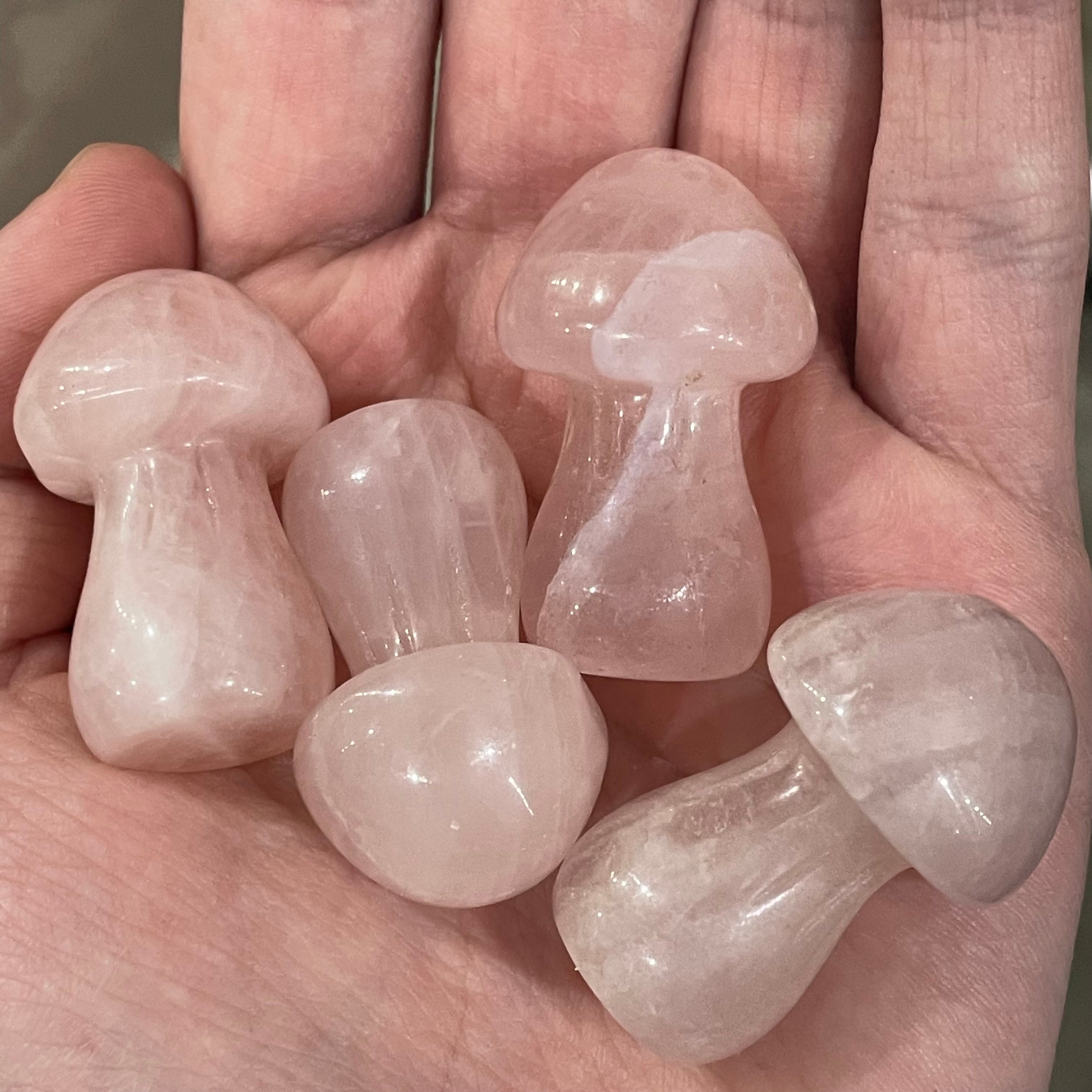 rose quartz mushroom crystal shop supplies