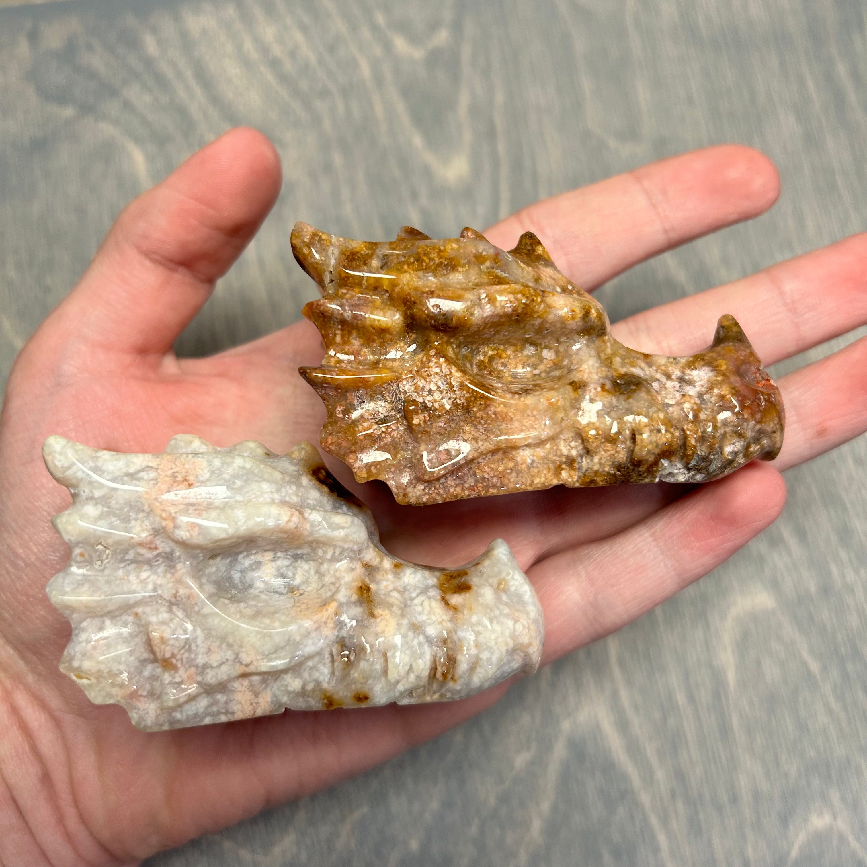 Fossil Coral gemstone dragon skull carvings spiritual decor wholesale