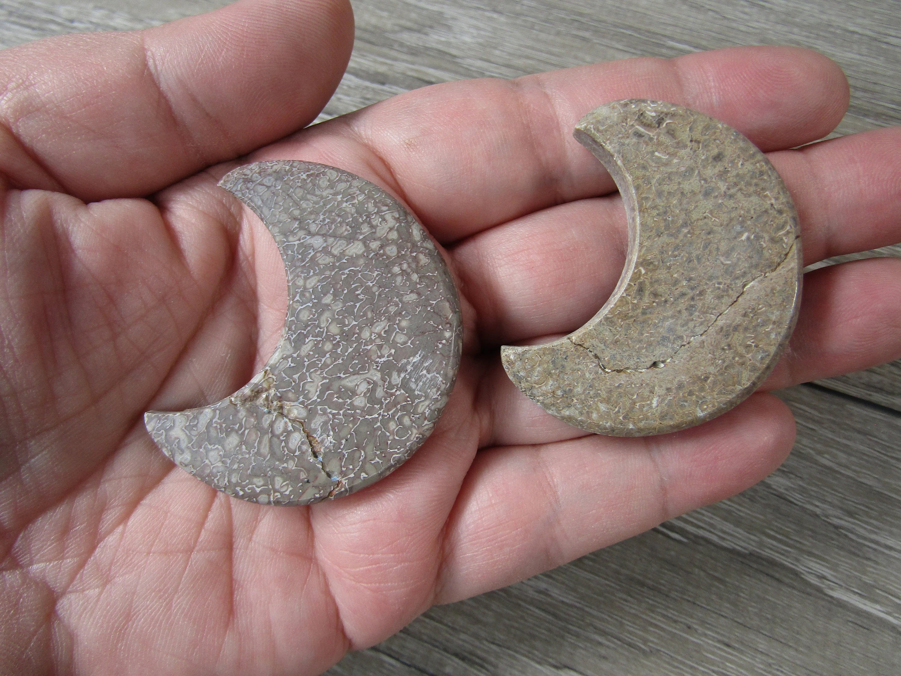 Dinosaur Bone 1.75 inch + Moon