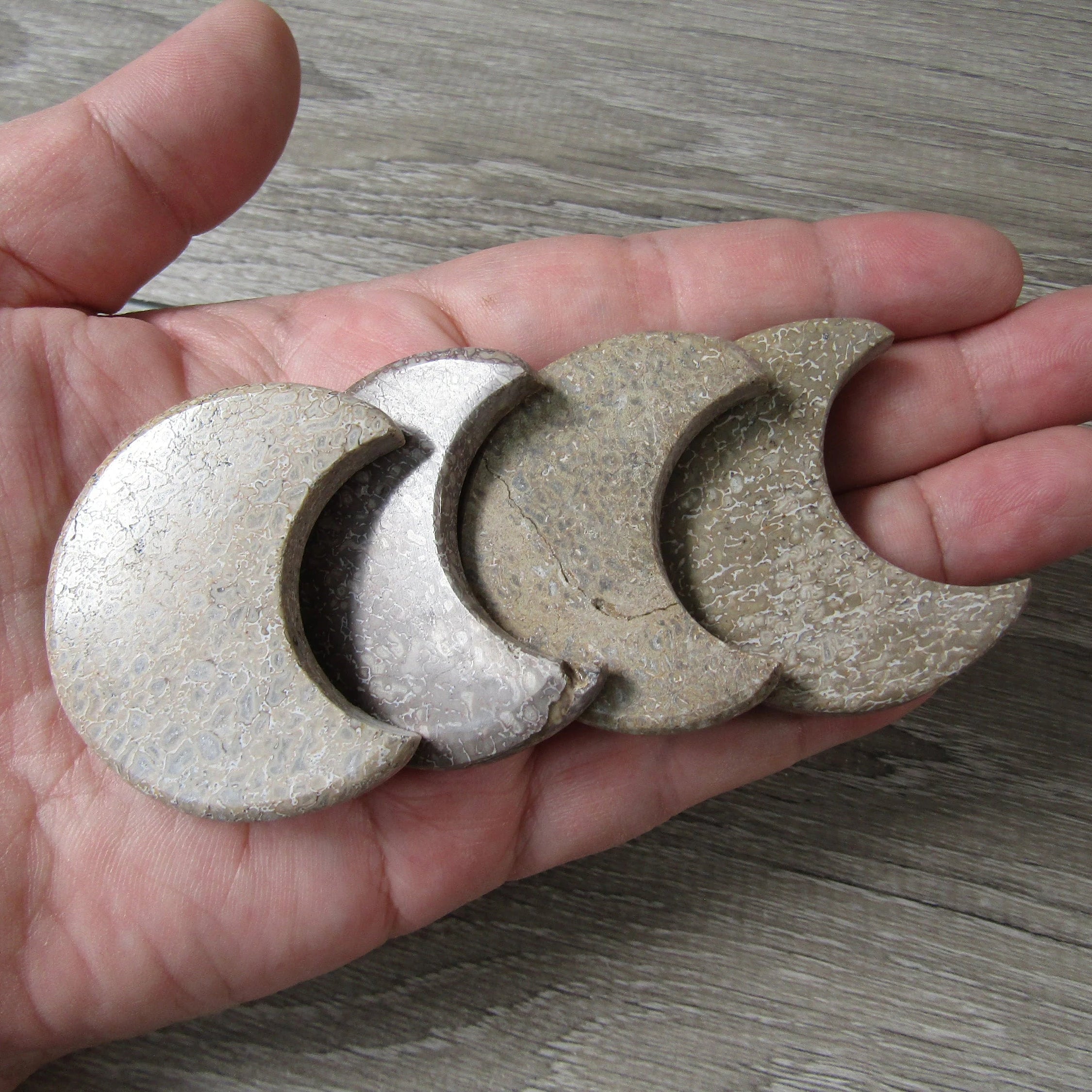 Dinosaur Bone 1.75 inch + Moon