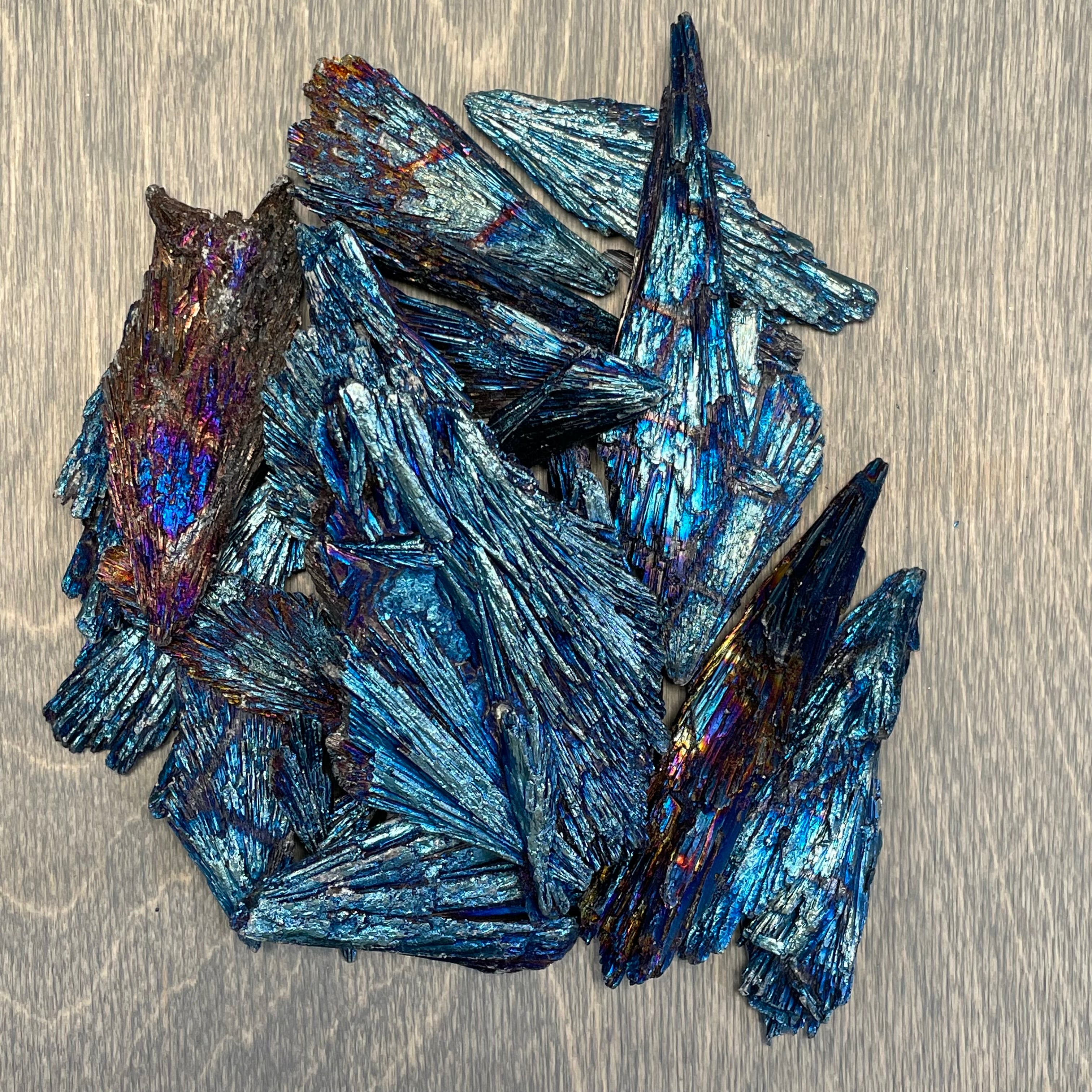 Blue Titanium Aura Kyanite fan cluster, wholesale lot, 1 lb