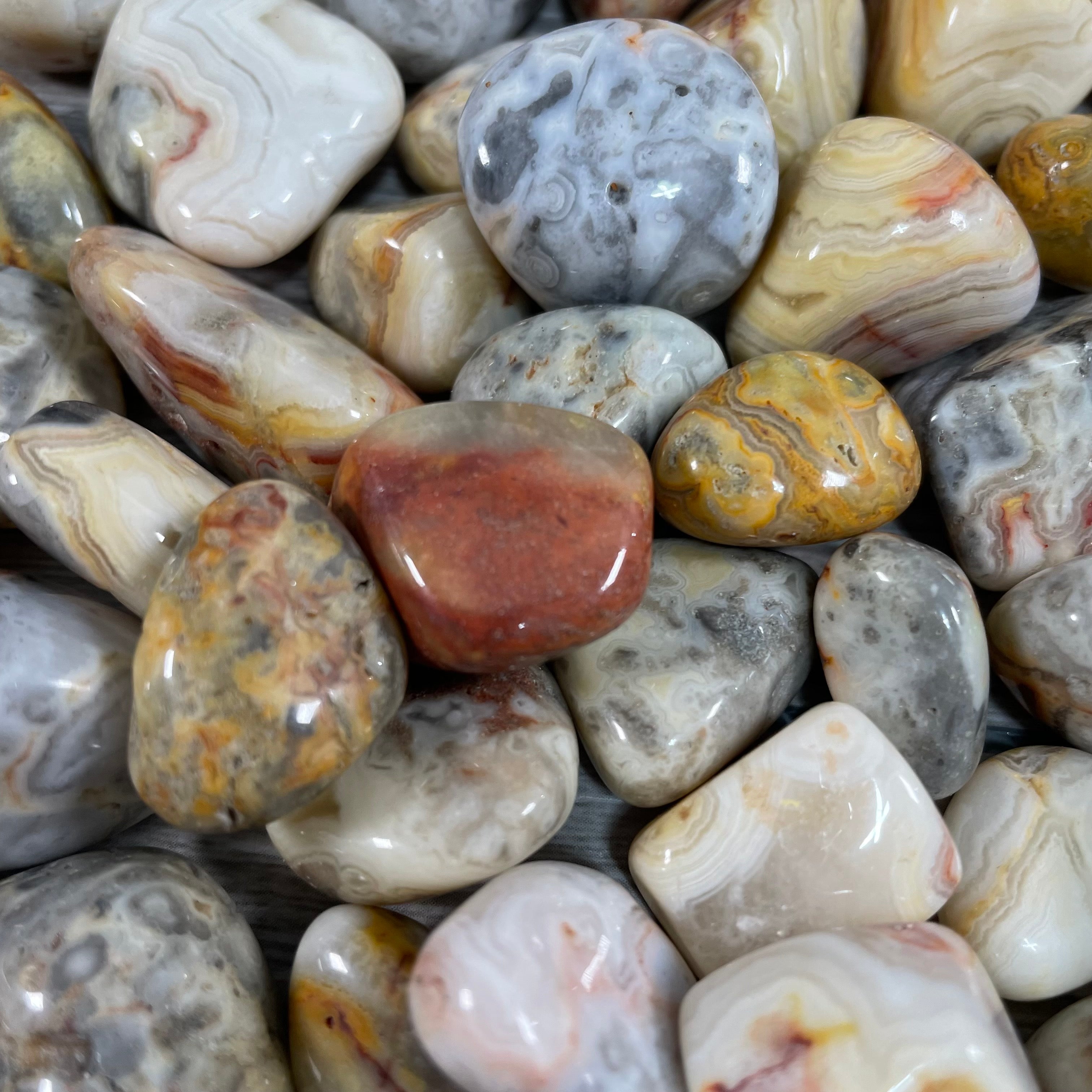 Tumbled Crazy Lace Agate healing crystals bulk supply