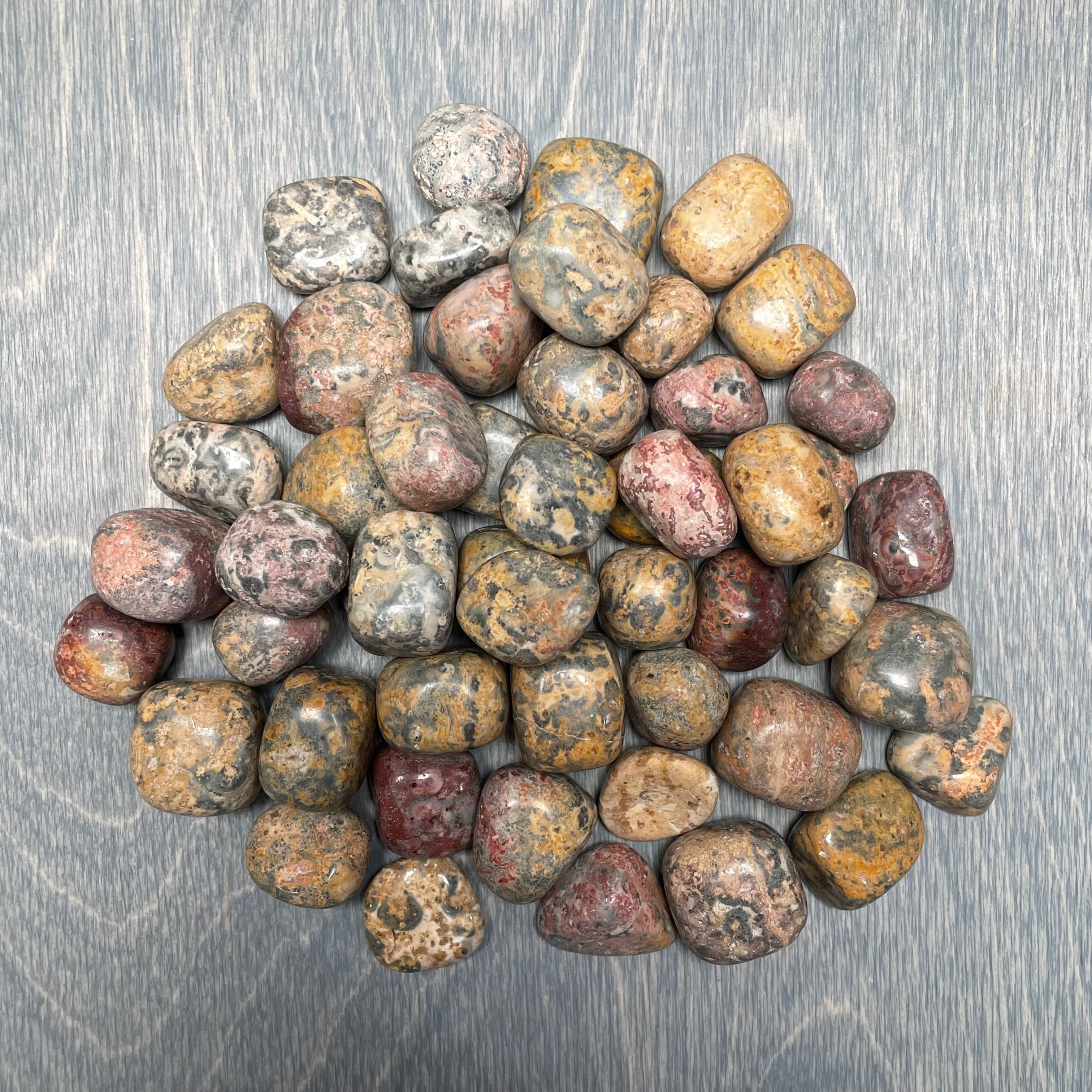 Tumbled Leopardskin Jasper stones wholesale metaphysical shop