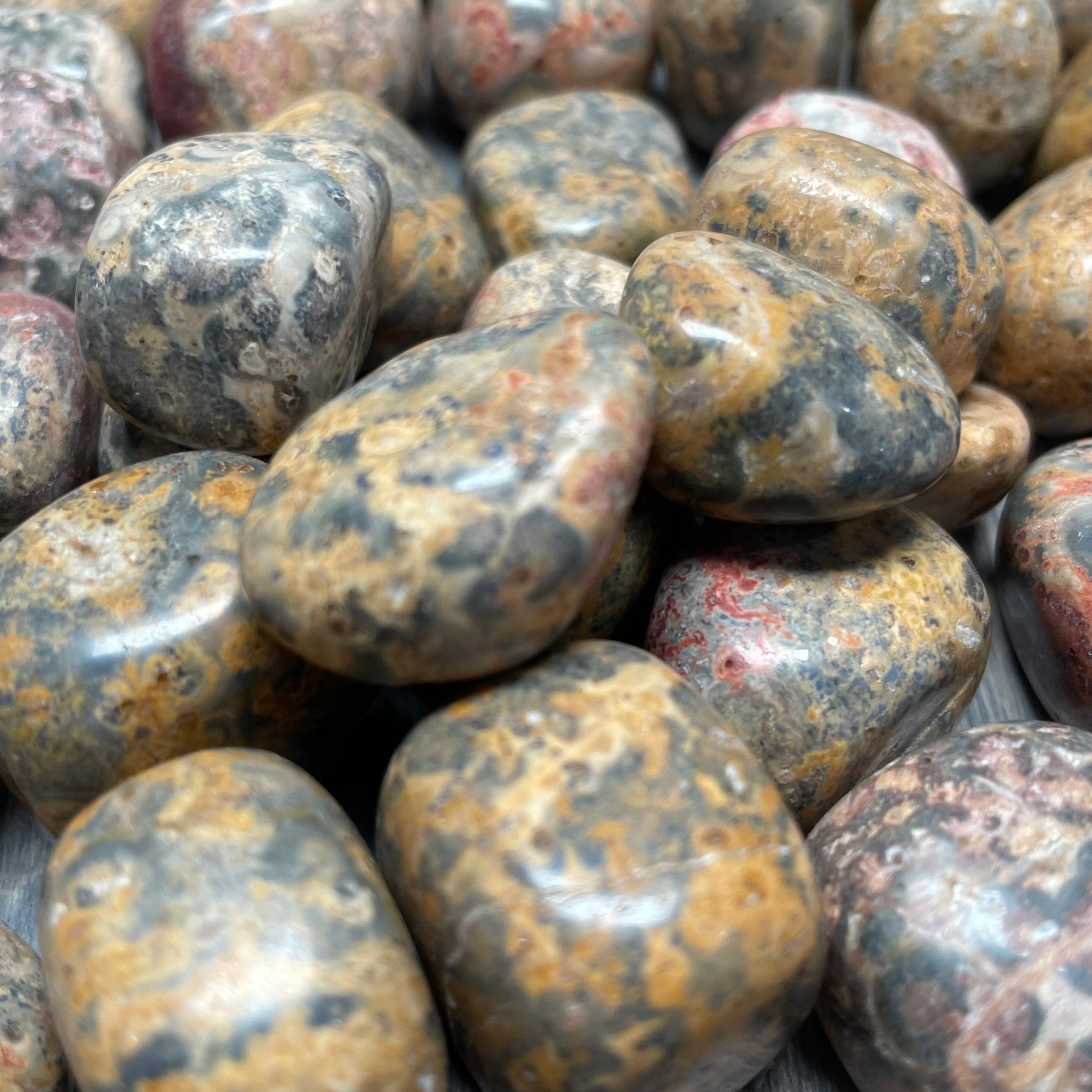 Polished Leopardskin Jasper crystal lot for resale