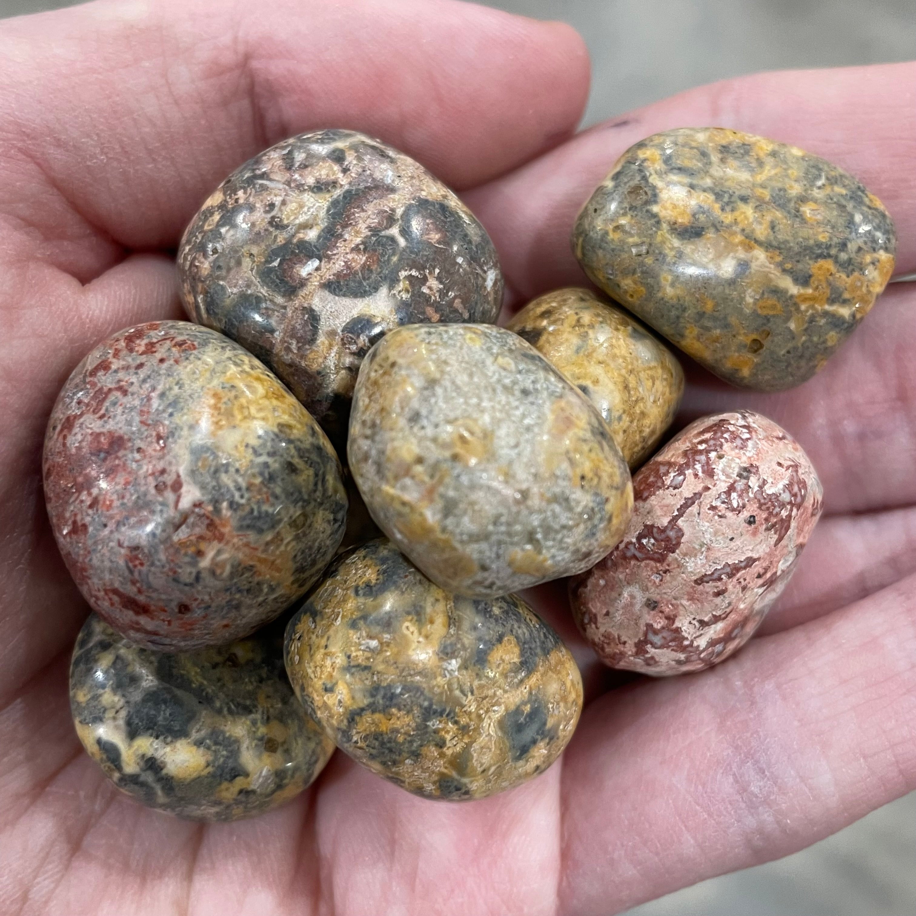 Wholesale Leopardskin Jasper tumbled stones 1 pound lot