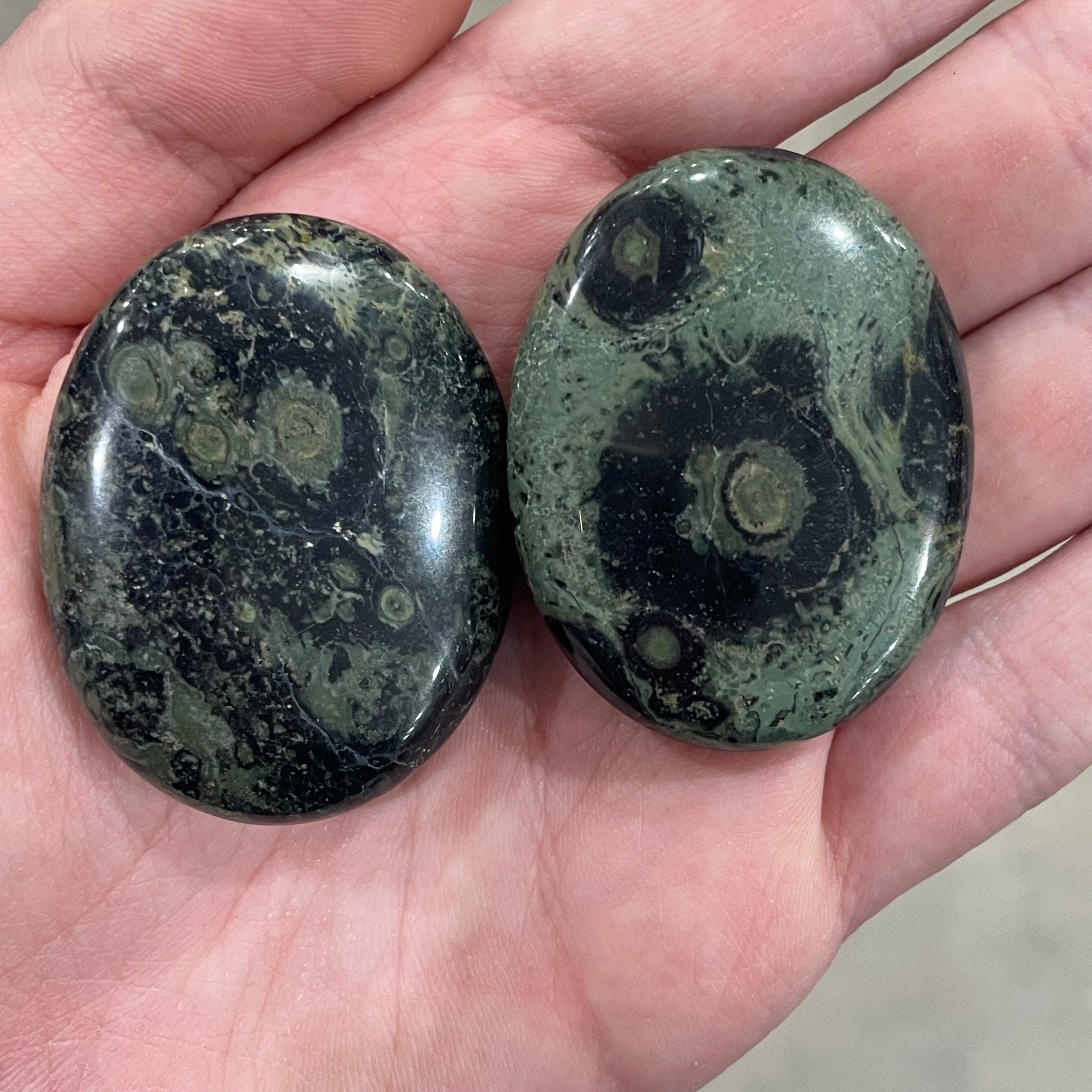 kambaba jasper palm stone wholesale supply