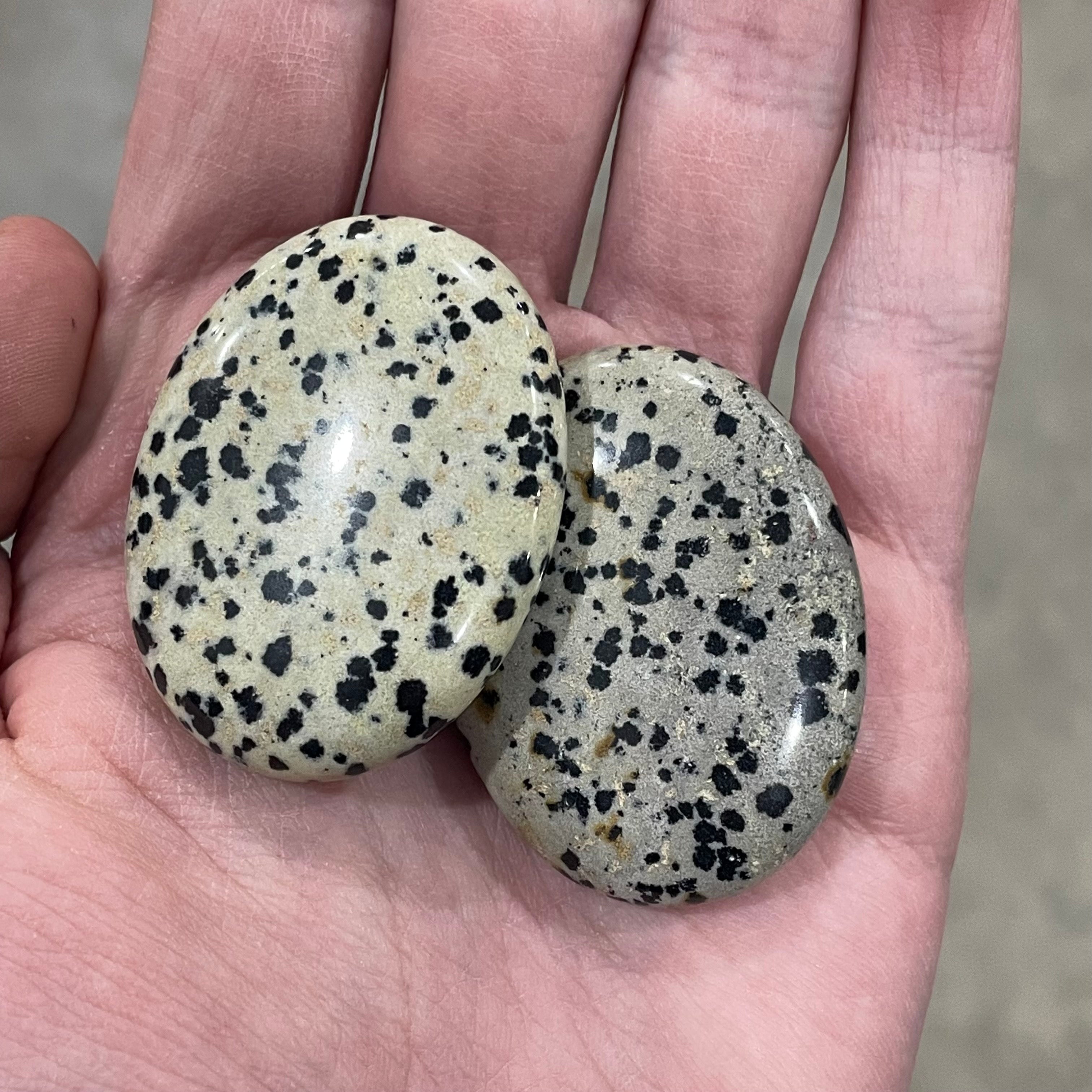 dalmatian jasper oval palm stone bulk purchase