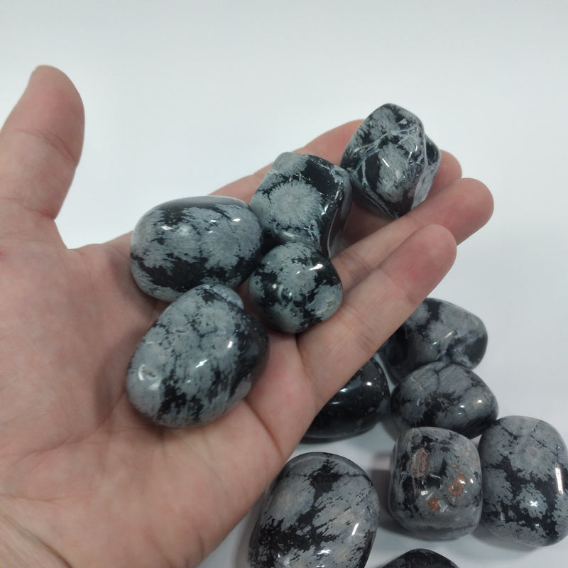 Snowflake Obsidian 1 LB Tumbled