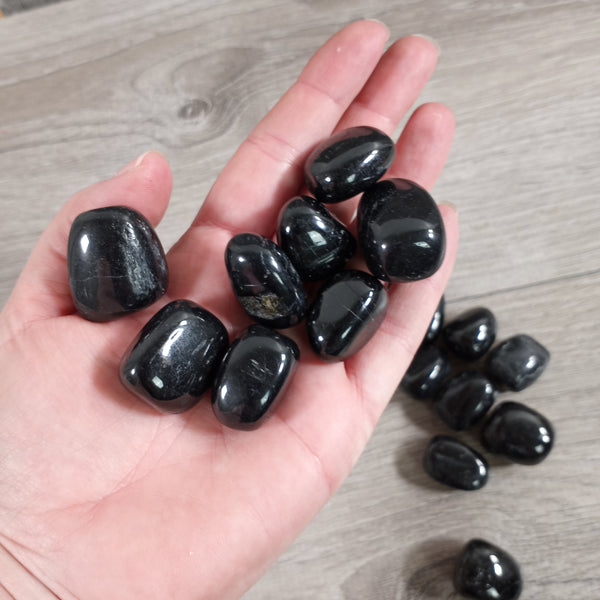 Gemstone Tumbled Stone Black Tourmaline Lot of 1 pound