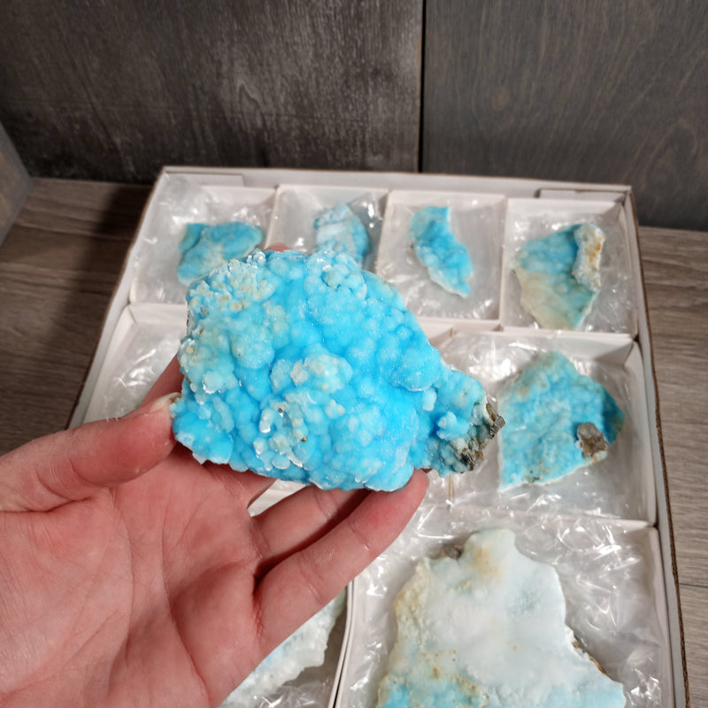 Blue Aragonite Raw Crystals By the Flat