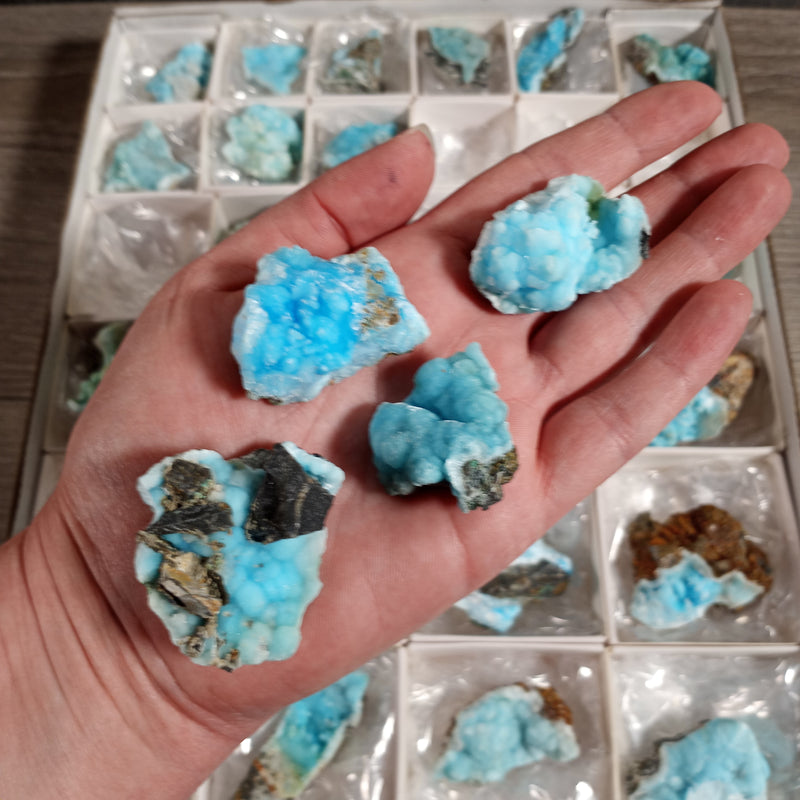 Blue Aragonite Raw Crystals By the Flat