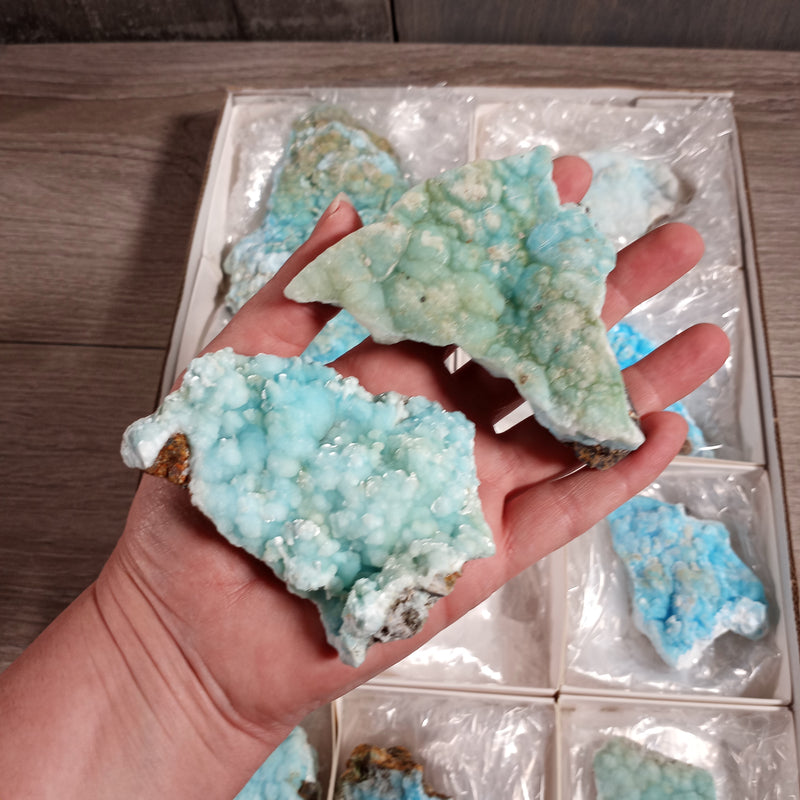 Blue Aragonite Raw Crystals By the Flat