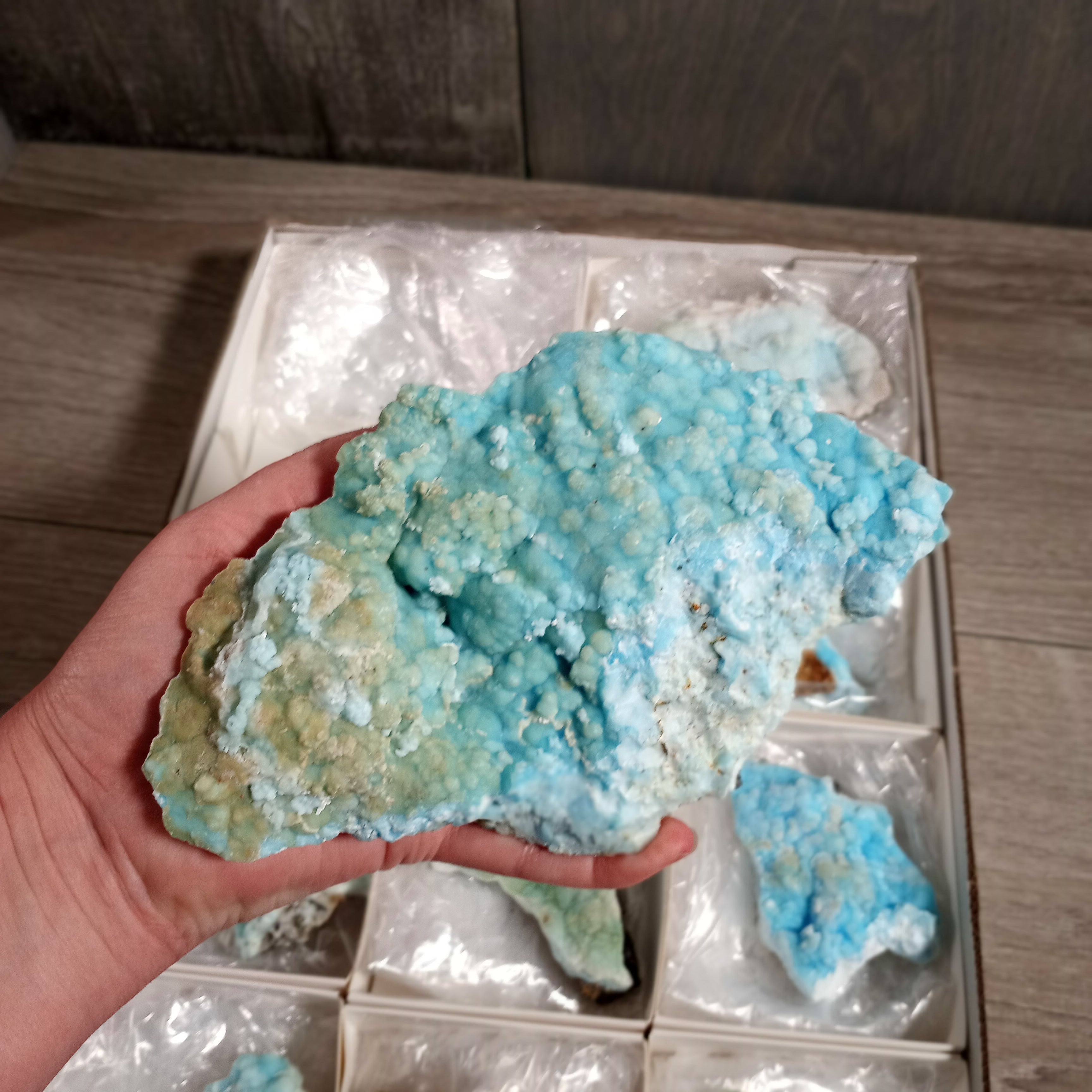 Blue Aragonite Raw Crystals By the Flat