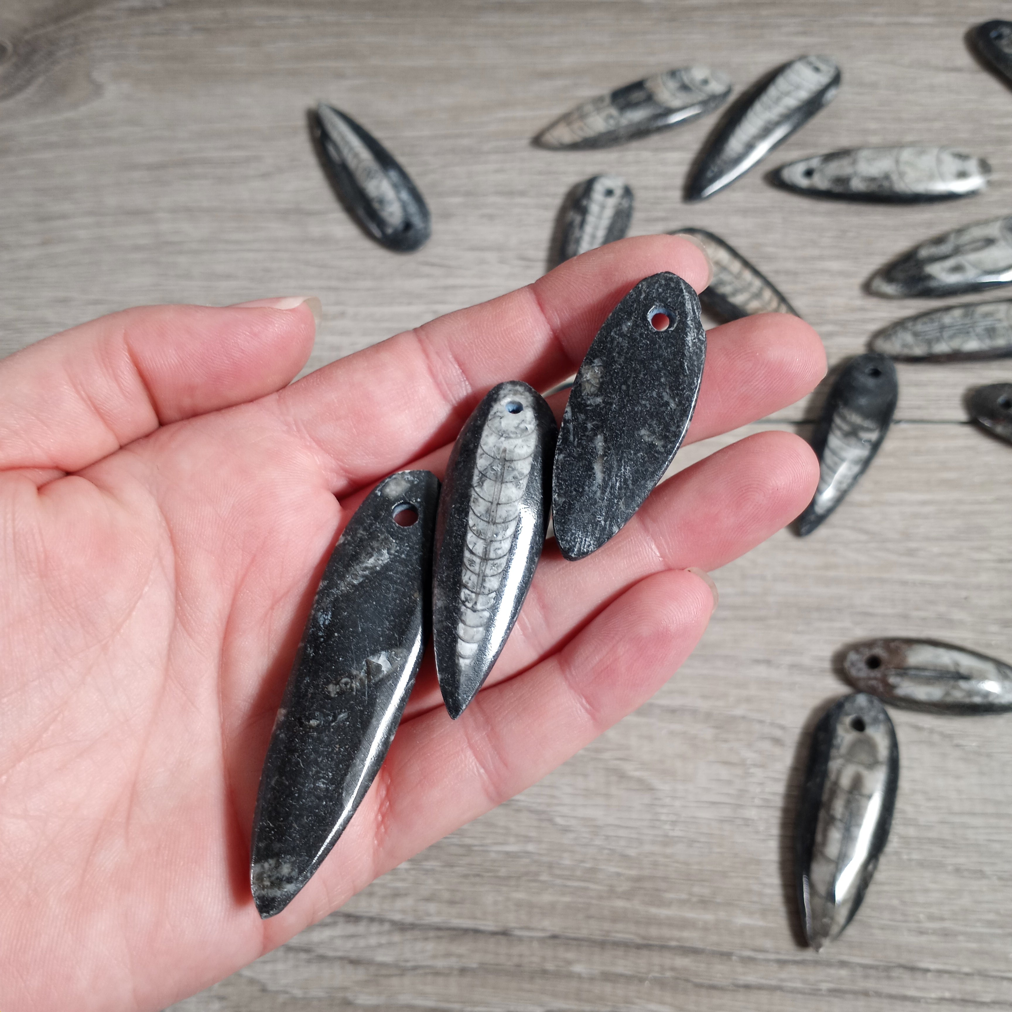 Orthoceras Fossil Focal Bead