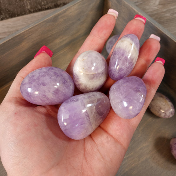 Amethyst Palm Stones by the 1 Pound Lot