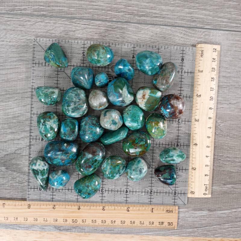 Chrysocolla Tumbled Stones 1 Pound