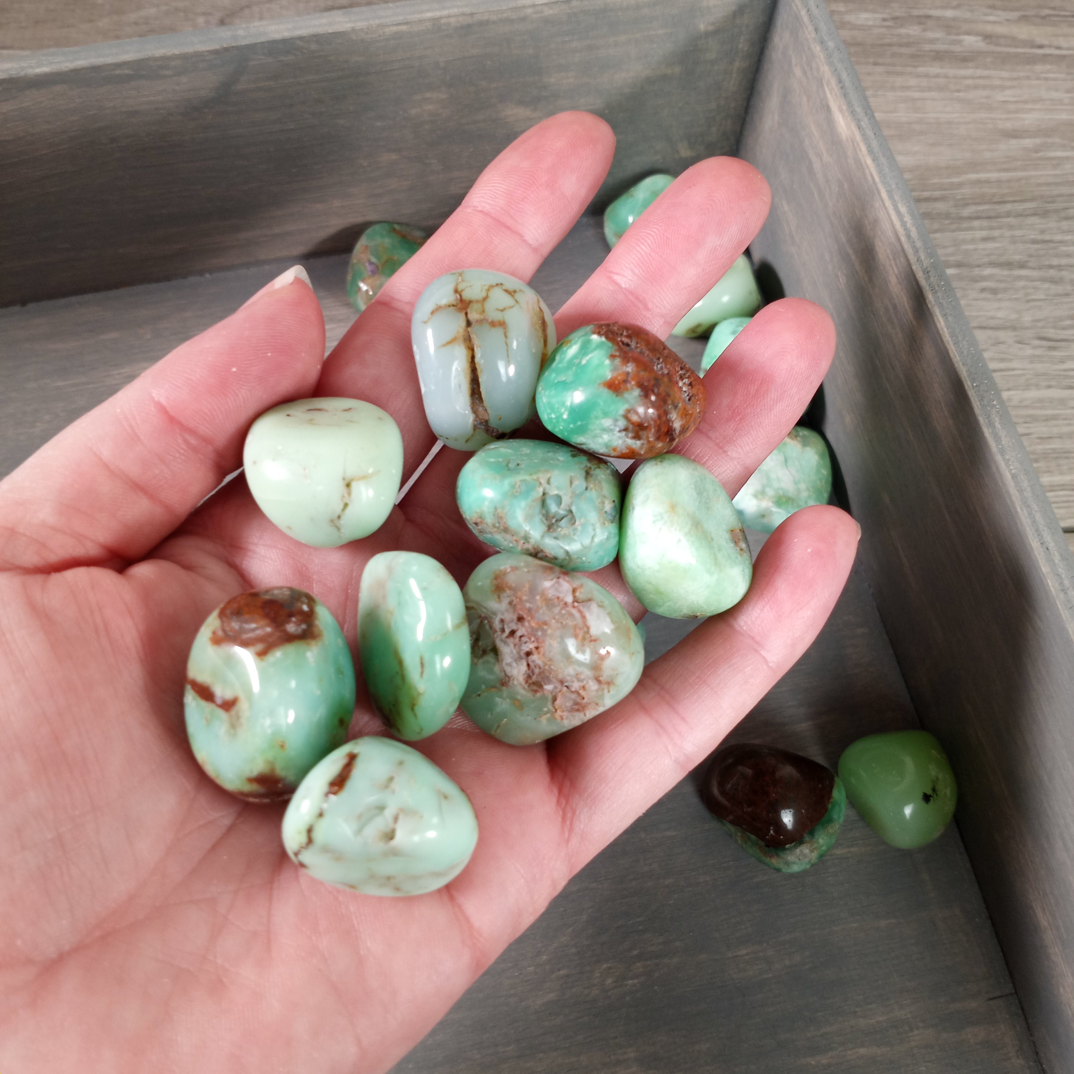 Chrysoprase Tumbled Stones by the 0.5 Pound Bag