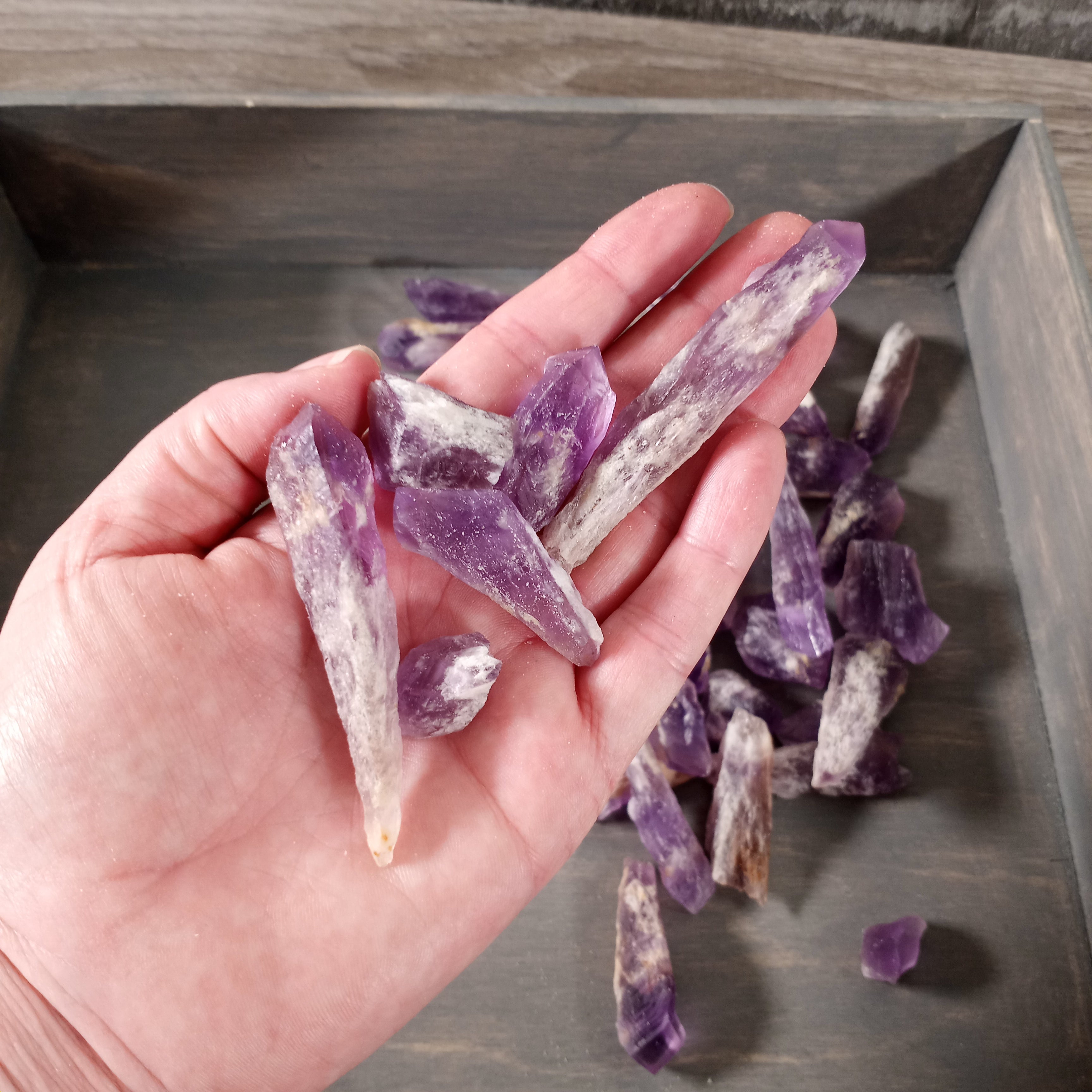 Amethyst Dragons Tooth Points and Chunks by the 1 lb