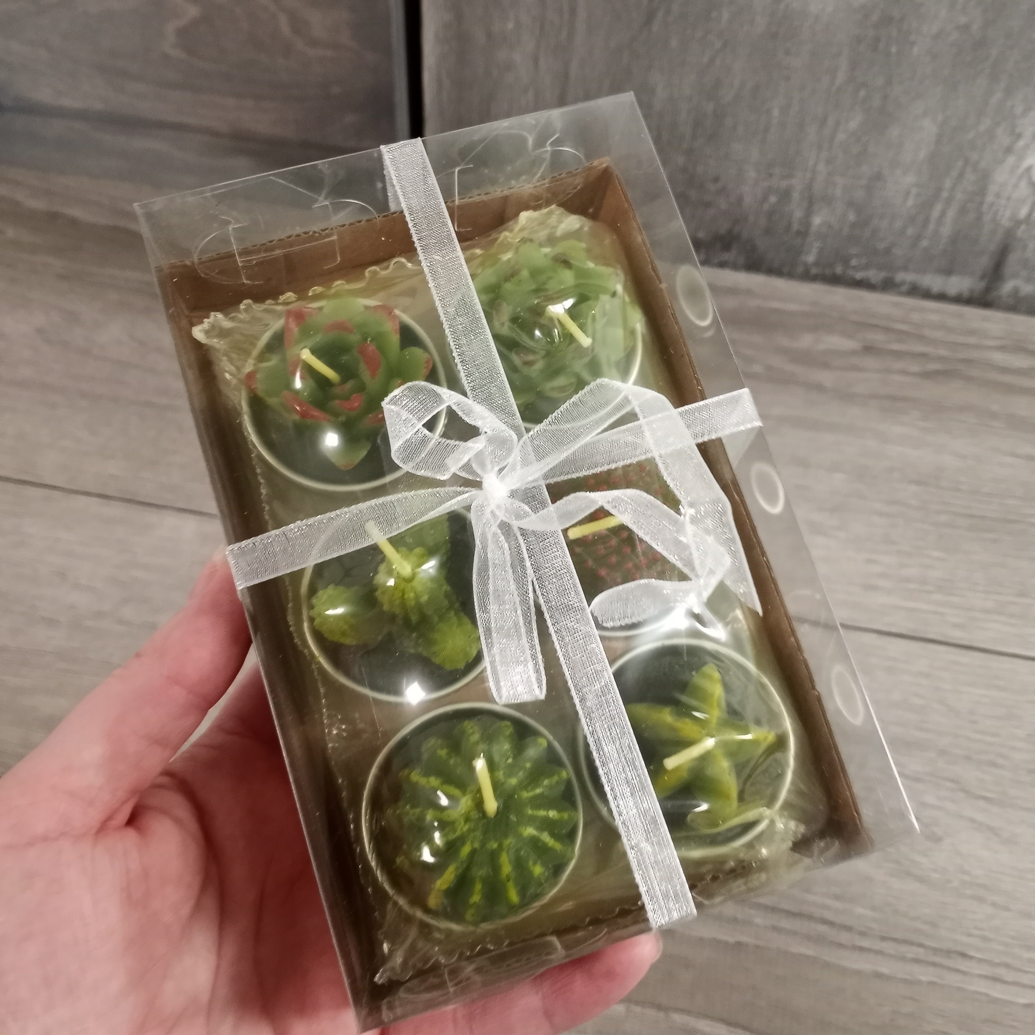 Succulent Candles Mini Assorted 6 Pack