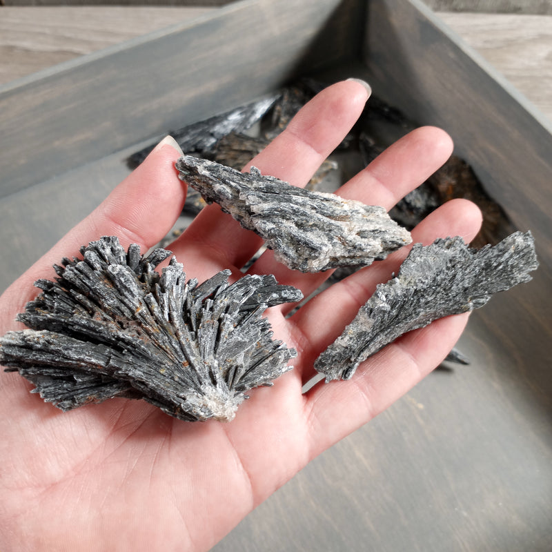 Natural Black Kyanite fan blades for energy healing