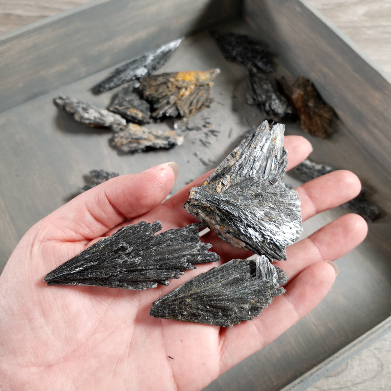 Wholesale Black Kyanite Angel Wings for grounding and protection