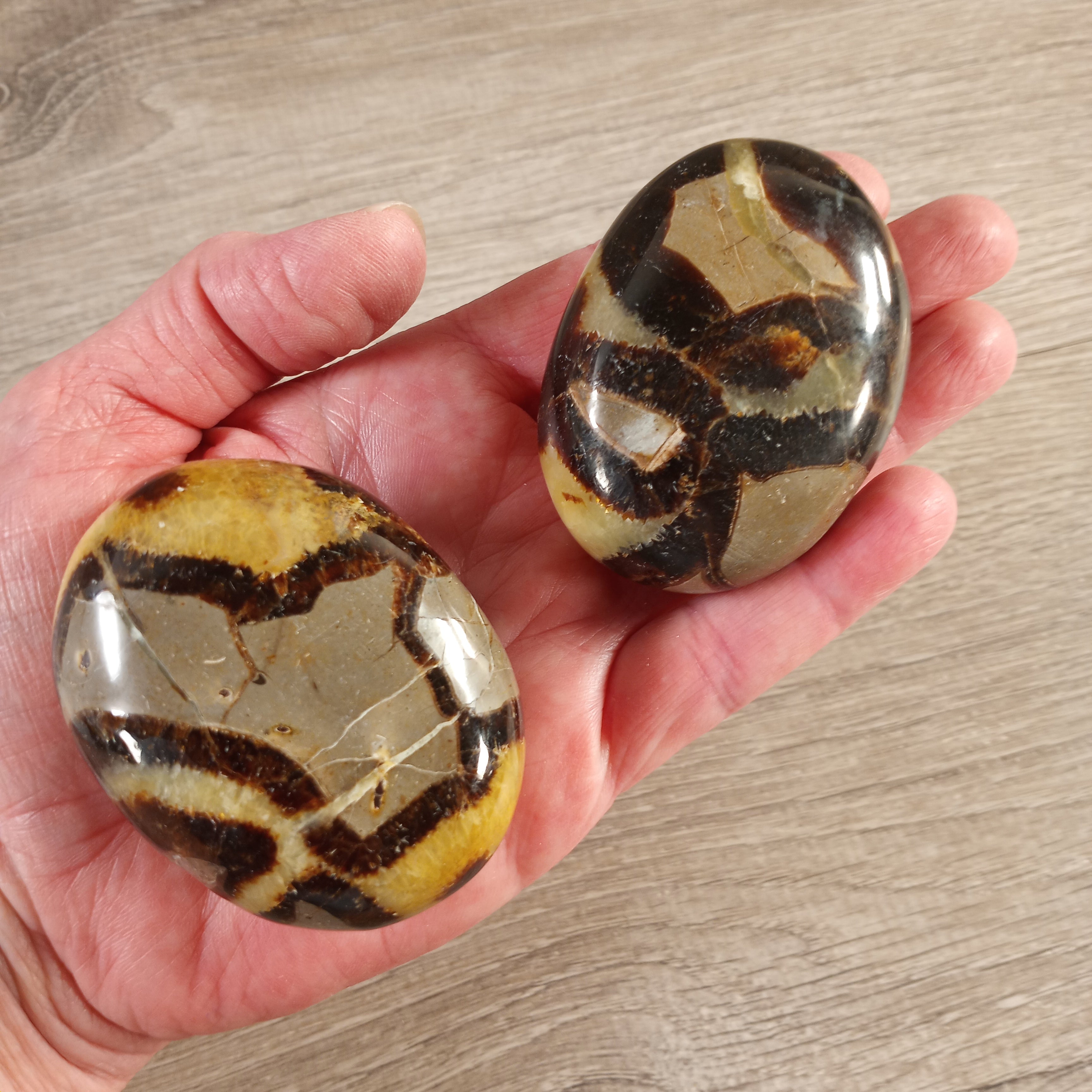 Gemstone Palm Stones Free Form Style