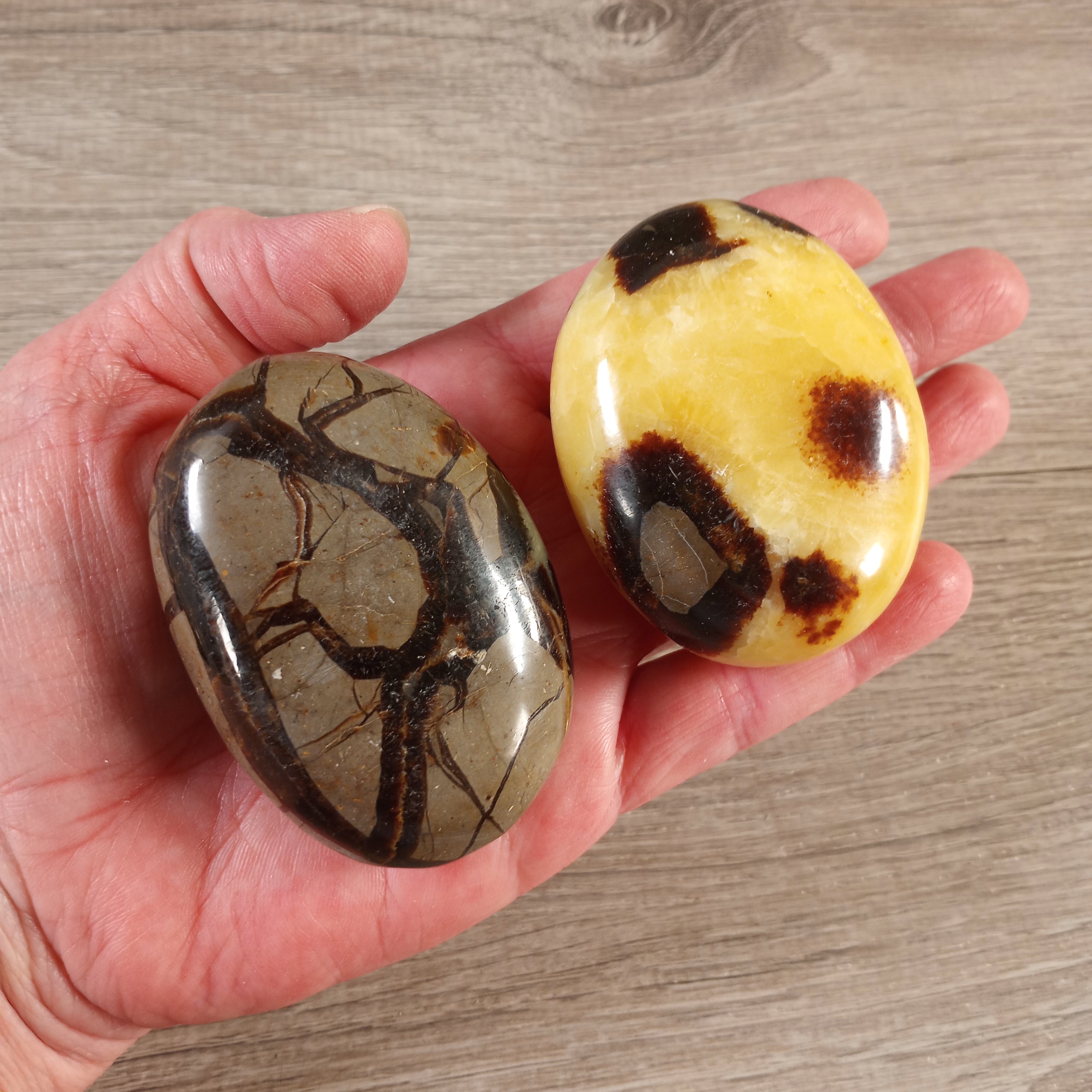 Gemstone Palm Stones Free Form Style